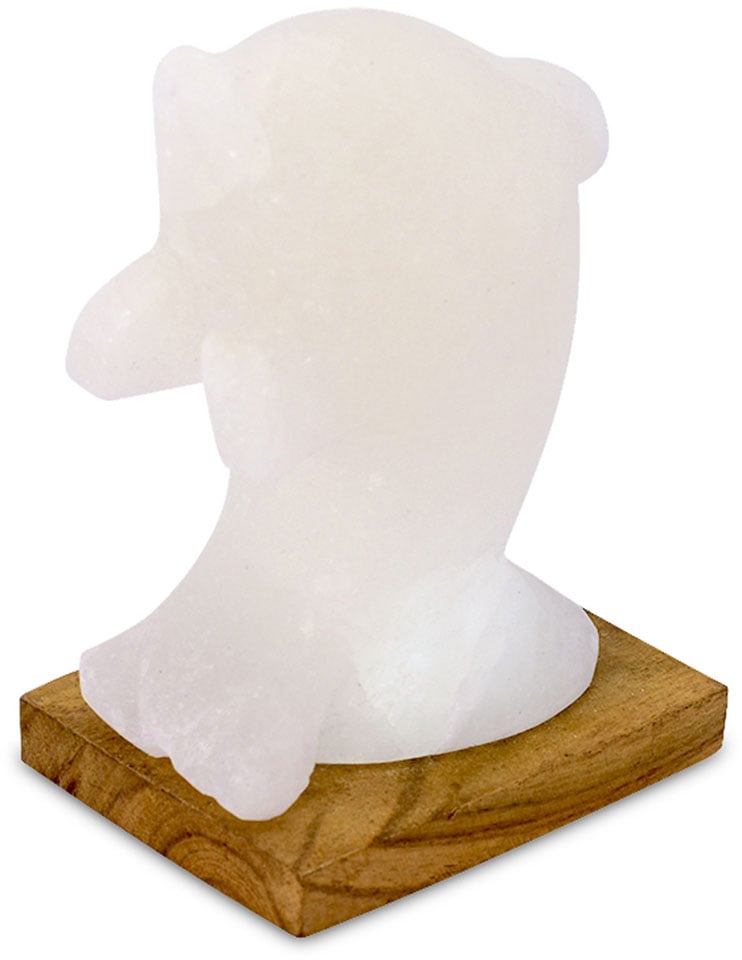 HIMALAYA SALT DREAMS Salzkristall-Tischlampe »Delfin«, Handgefertigt aus  Salzkristall - jeder Stein ein Unikat, H: ca.15 cm bei OTTO