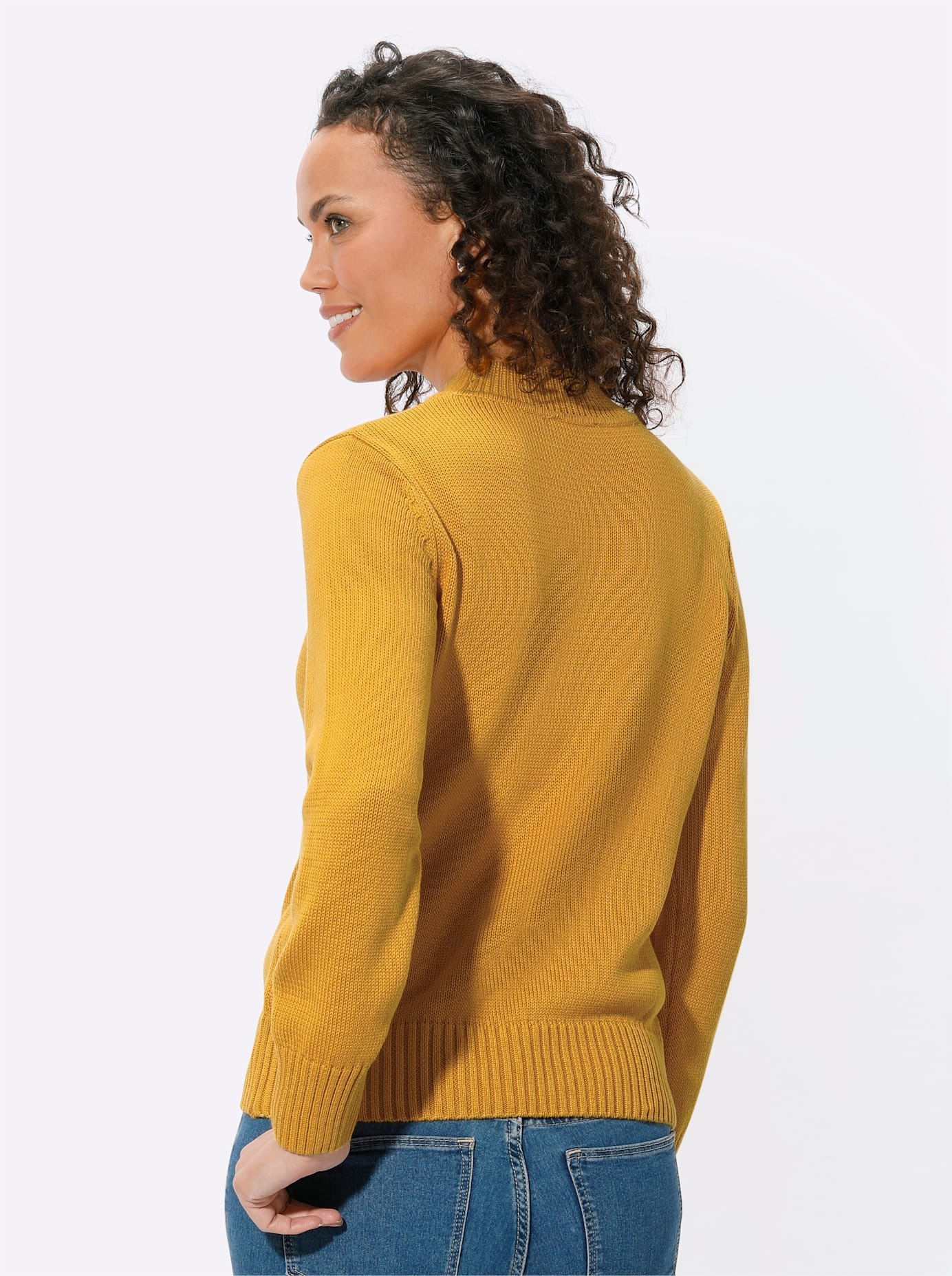 Casual Looks Stehkragenpullover »Pullover«