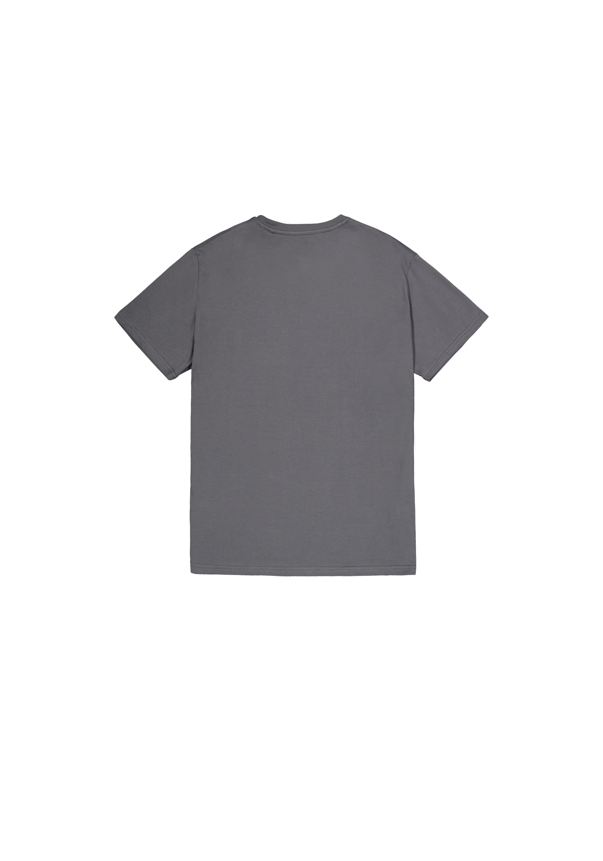 Alpha Industries T-Shirt »Alpha Industries Men - T-Shirts Basic T-Shirt ML«