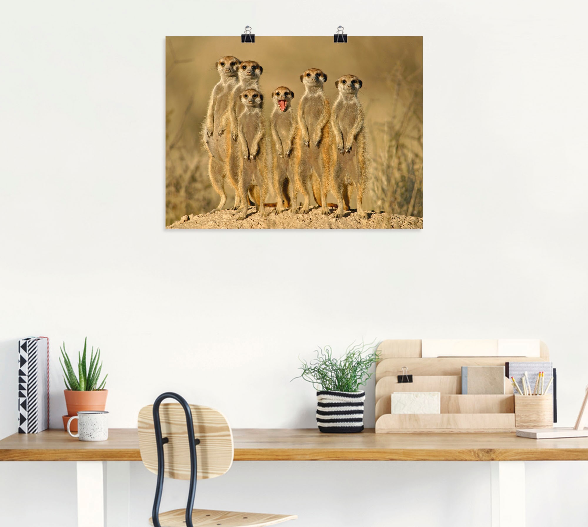 Artland Wandbild »Erdmännchen Familie« Wildtiere 1 Stk. tlg. als Poster in verschied. Größen