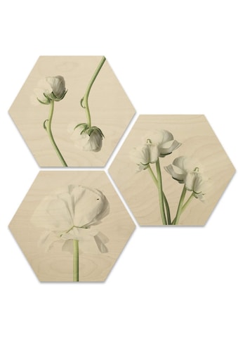 Wall-Art Mehrteilige Bilder »Maiglöckchen Blumen Collage«, (Set, 3 St.) kaufen