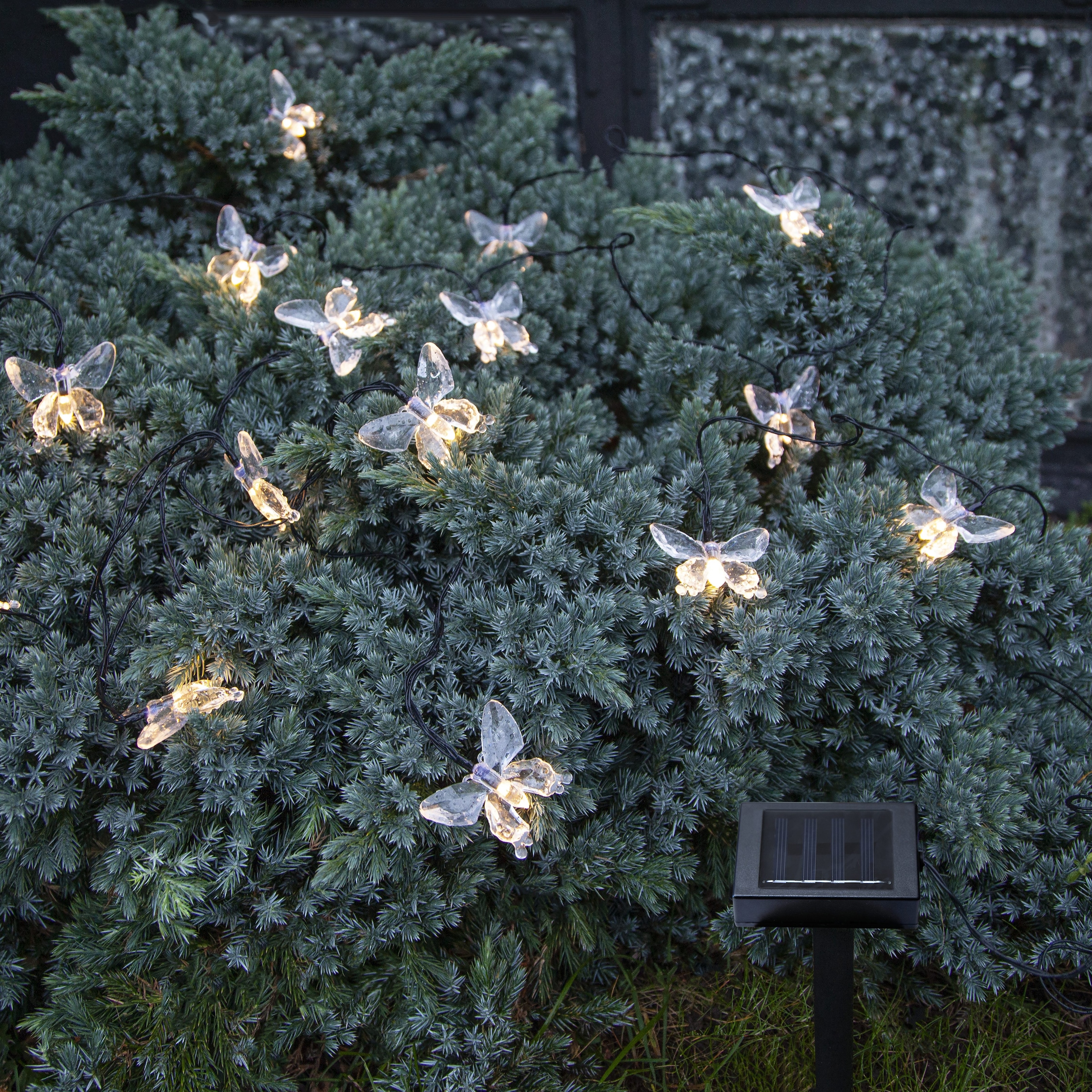 Parforce Traditional Hunting LED-Lichterkette »Papillon« 15 Stk.-flammig tranparente Schmetterlinge, 2,8 m, Akku, Vierfarb-Karton