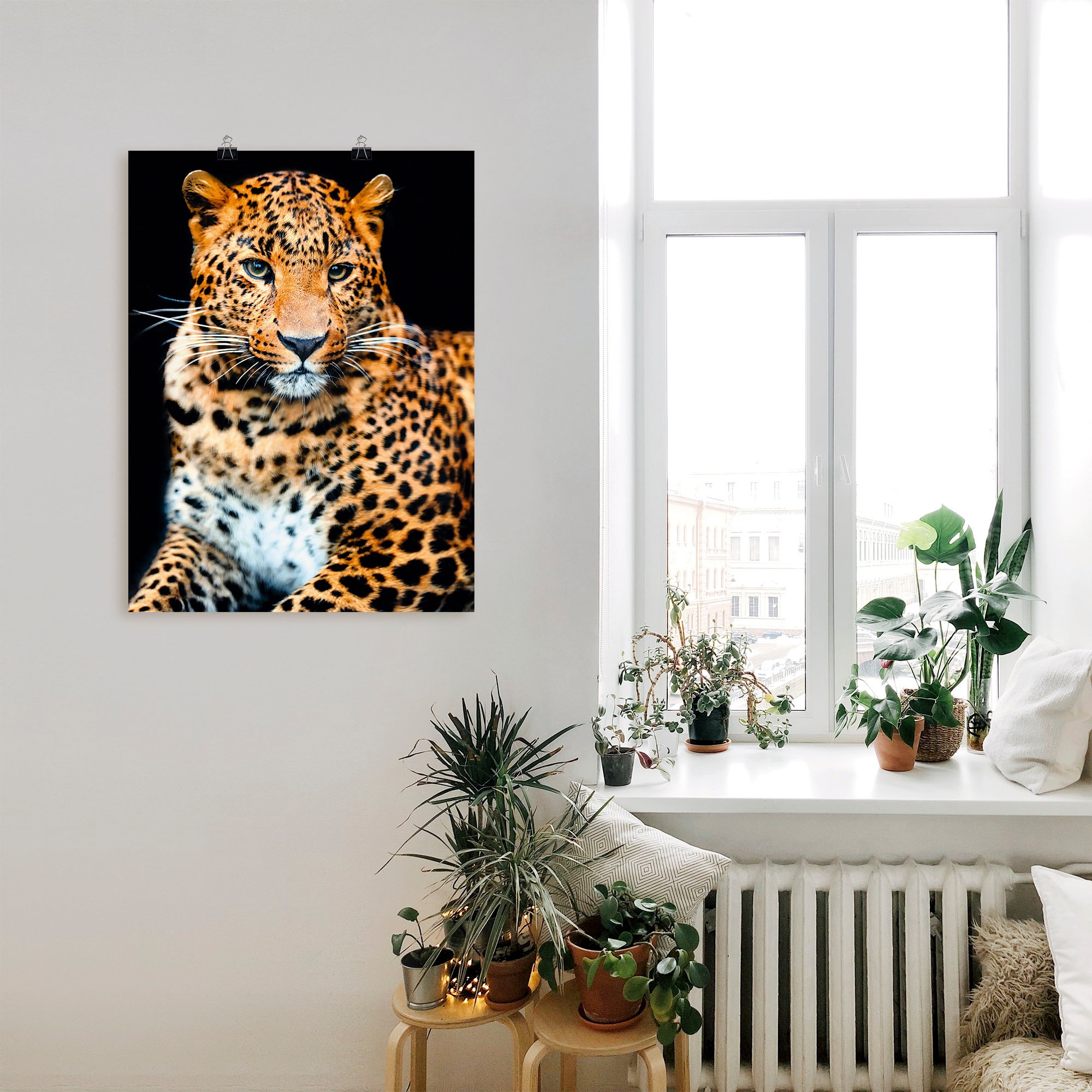 Artland Wandbild »Wütender wilder Leopard«, Wildtiere, (1 St.), als Alubild, Outdoorbild, Leinwandbild, Poster, Wandaufkleber