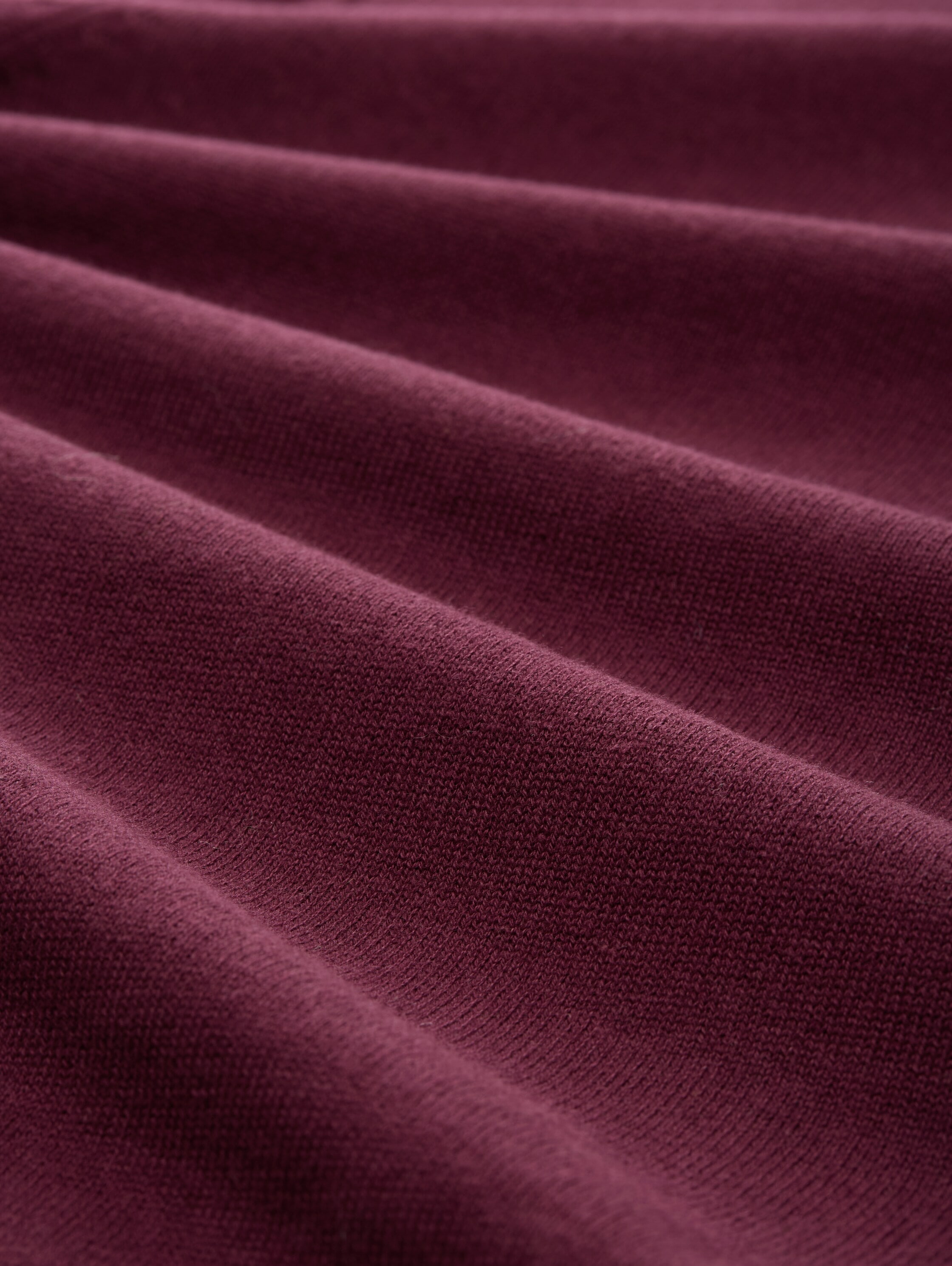 TOM TAILOR Rollkragenpullover, mit Rippbündchen
