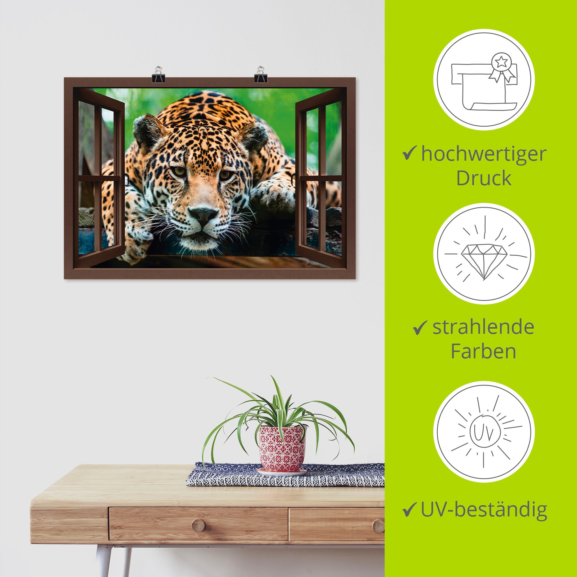 Artland Poster »Fensterblick - Südamerikanischer Jaguar«, Wildtiere, (1 St.), als Alubild, Leinwandbild, Wandaufkleber oder Poster in versch. Größen