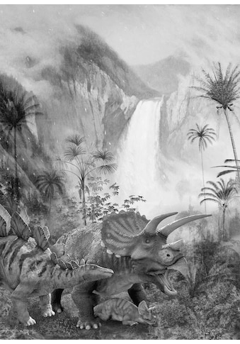 Komar Fototapete »Jurassic Waterfall«, bedruckt-Comic-Retro-mehrfarbig, BxH: 200x280 cm kaufen
