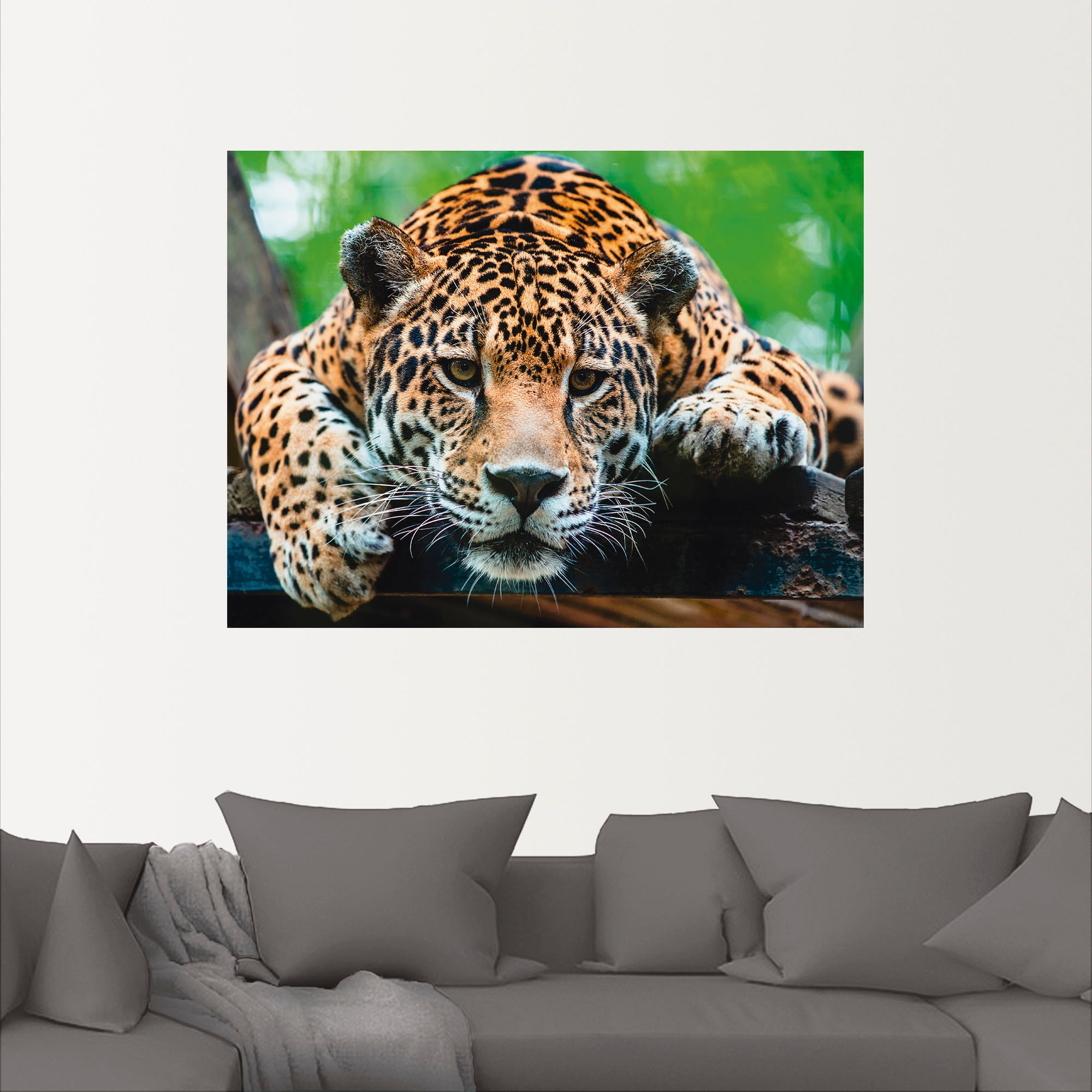 Artland Wandbild »Südamerikanischer Jaguar«, Wildtiere, (1 St.), als Alubild, Outdoorbild, Leinwandbild, Poster, Wandaufkleber