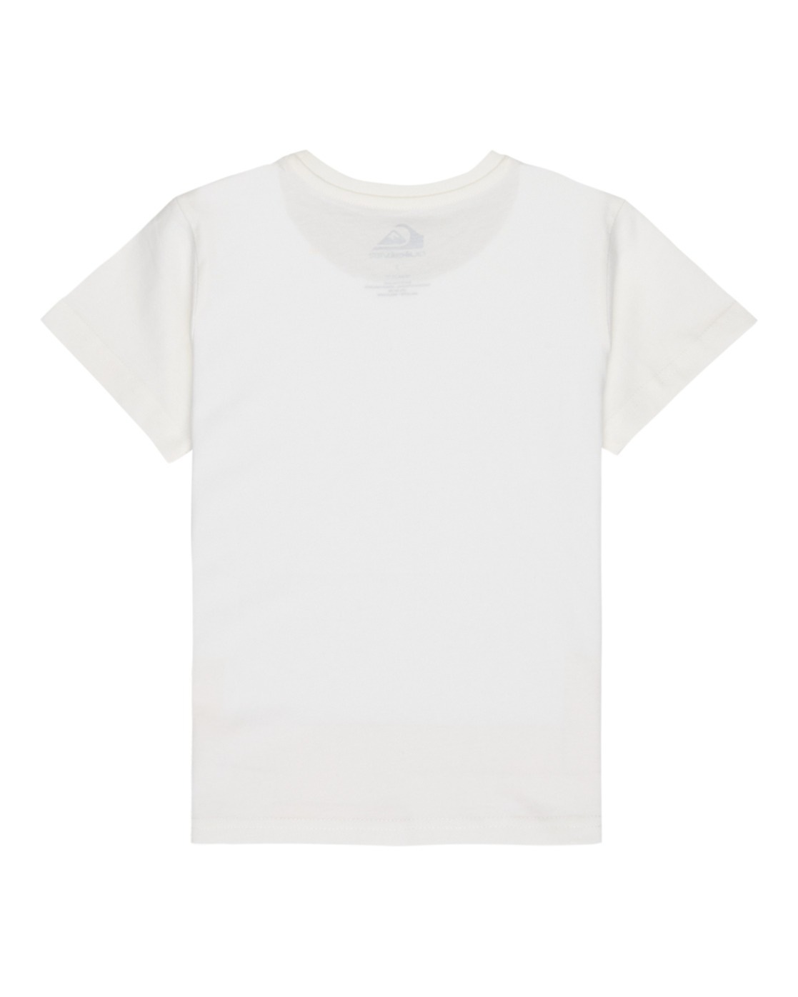 Quiksilver T-Shirt »Ev Palm Horizon«