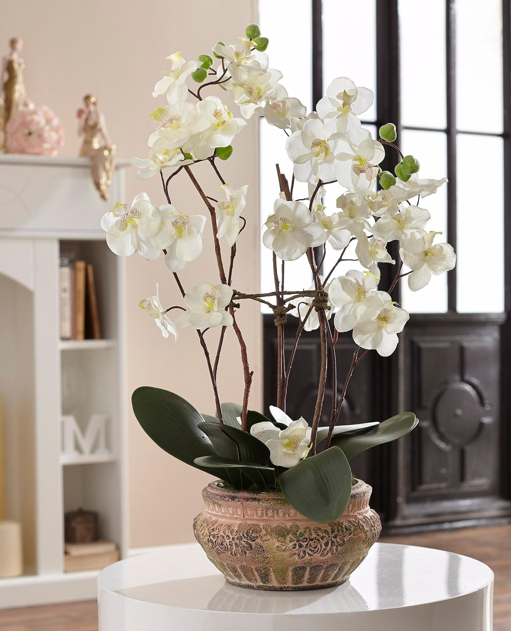 Schneider Kunstpflanze »Orchidee«, (2 St.)