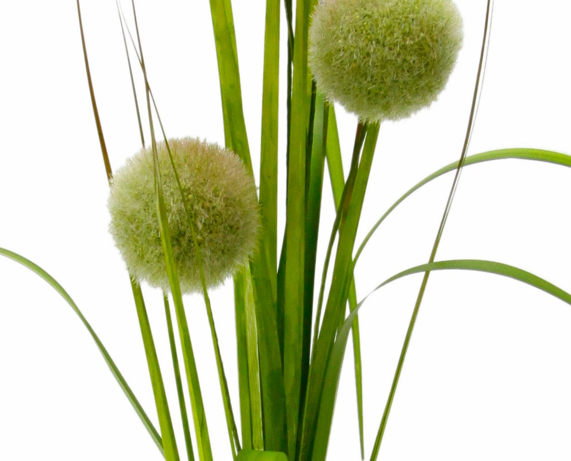 im »Allium bestellen Set OTTO Dekozweig, Kunstpflanze Online I.GE.A. Shop Gras«, 2er im
