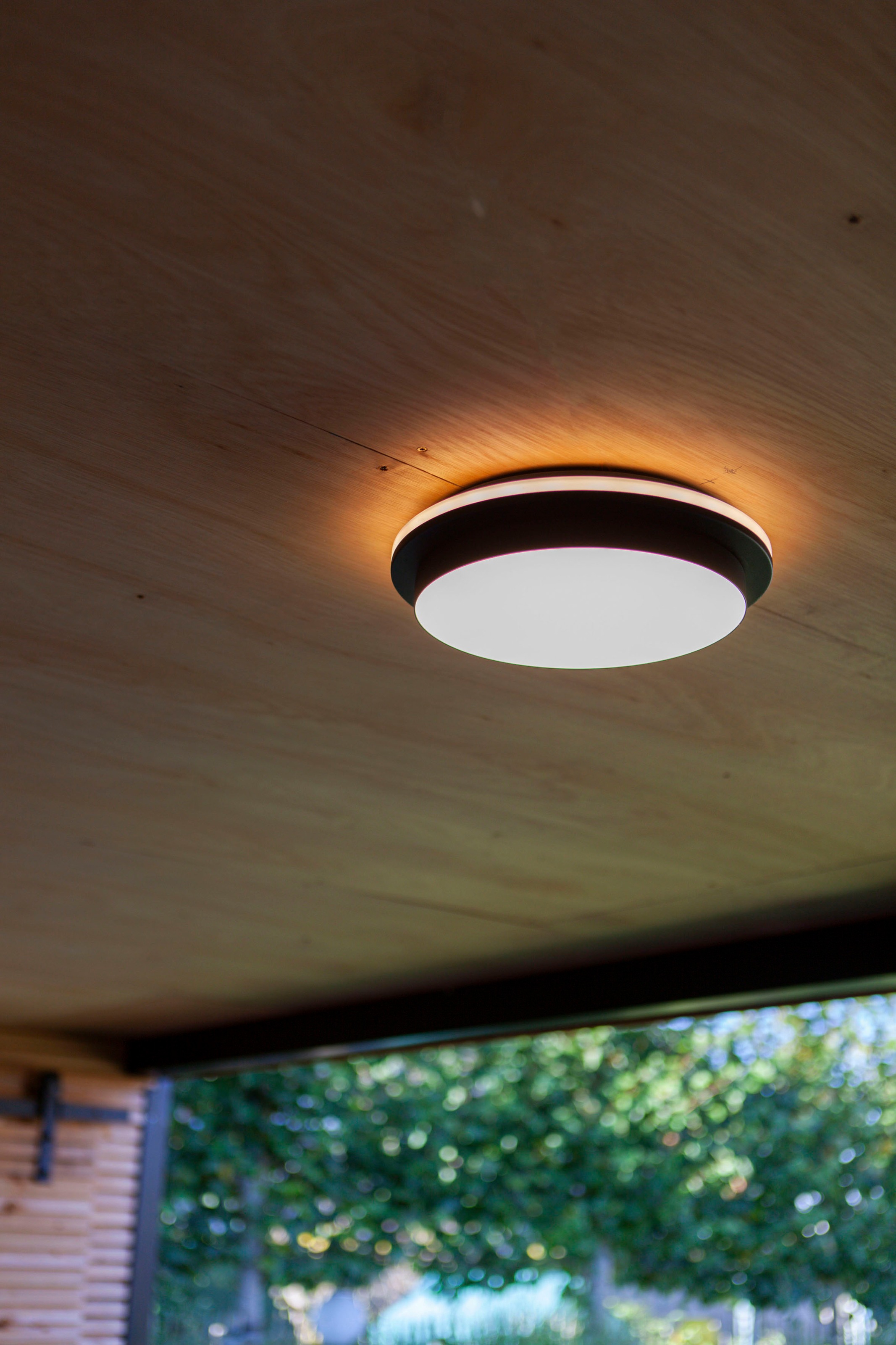 LUTEC LED Außen-Deckenleuchte »GOLETA«, Leuchtmittel LED-Modul | LED fest integriert