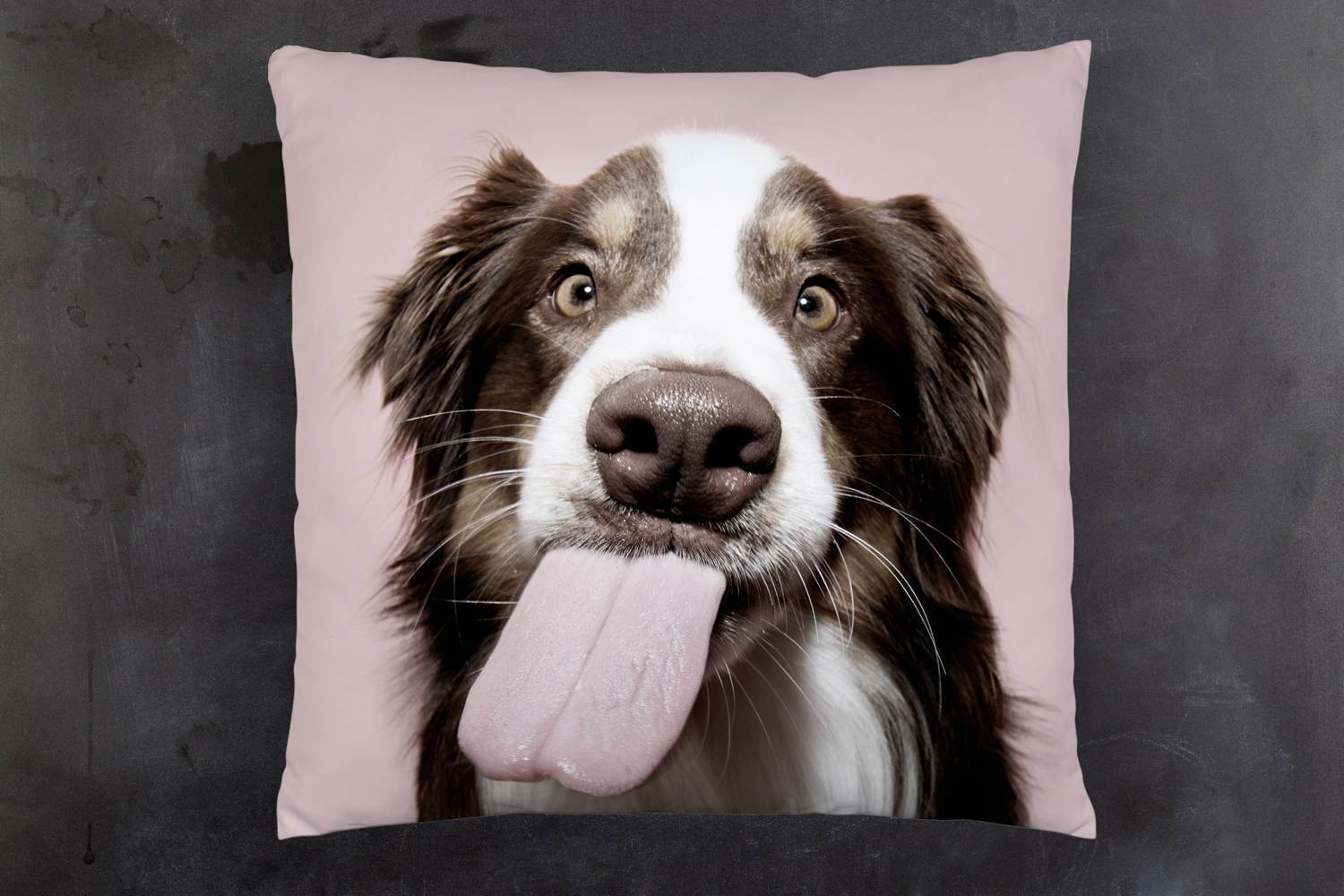 queence Dekokissen »Hundezunge«, Kissenhülle mit HD Premium Druck, geruchsneutral, 40x40cm