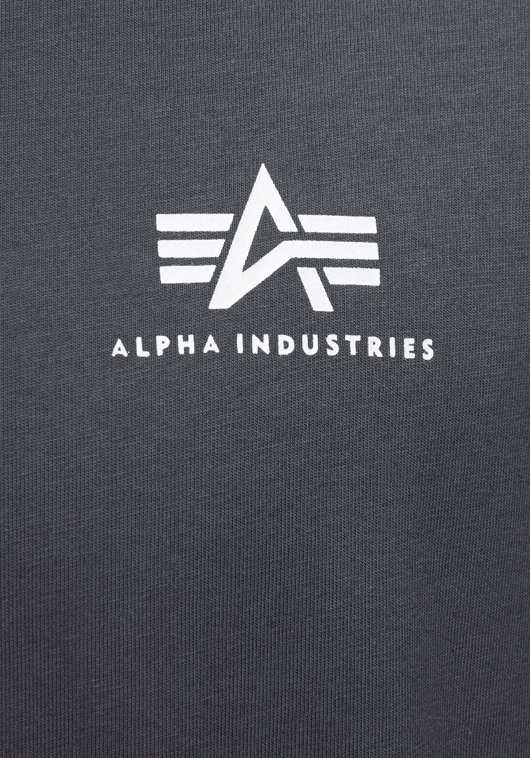 Alpha Industries Rundhalsshirt »BASIC T SMALL LOGO«