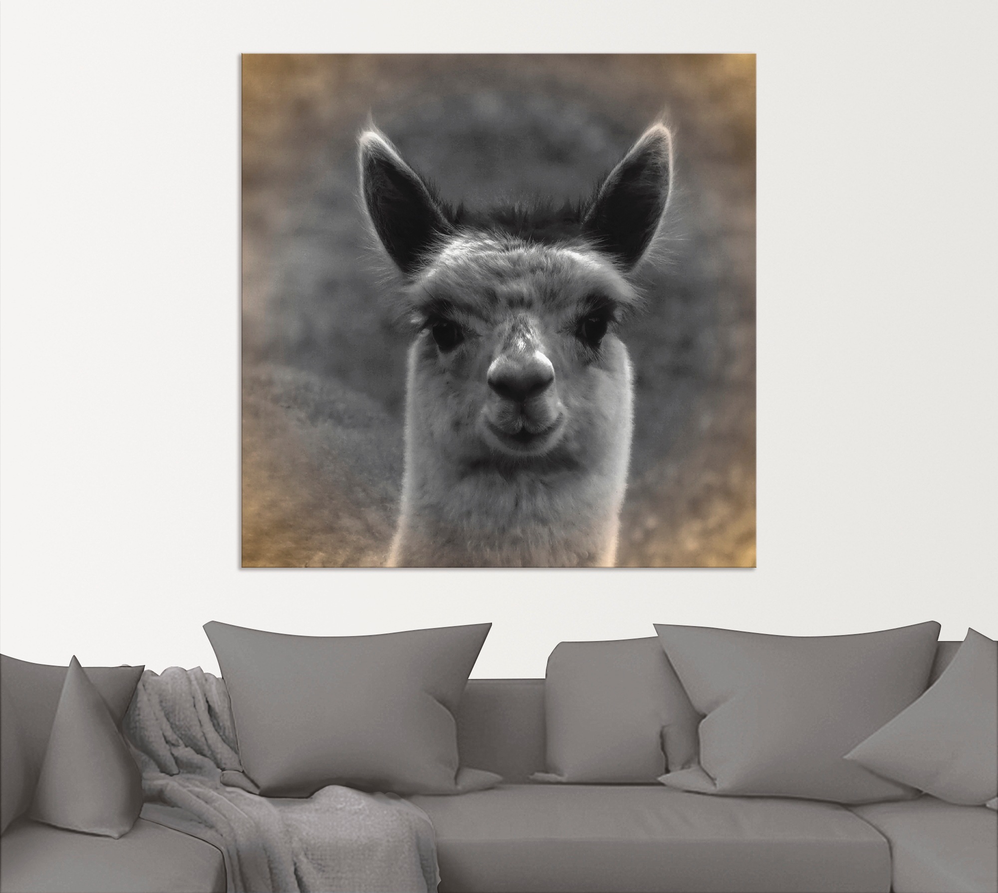 Artland Wandbild »Alpaka Blick«, Wildtiere, (1 St.), als Alubild, Outdoorbild, Leinwandbild, Poster in verschied. Größen