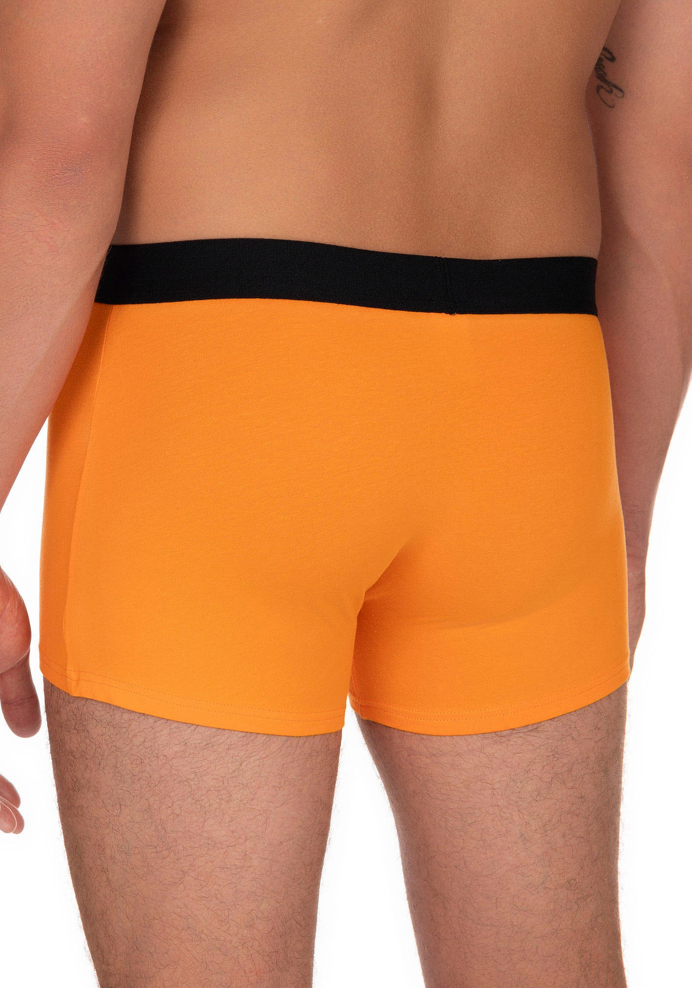 Bruno Banani Boxer, (2er Pack), mit kontrastreichem Logobund