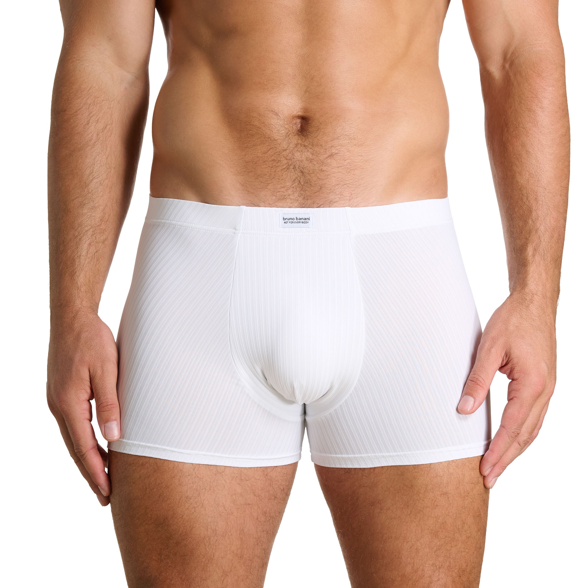 Bruno Banani Boxer »ANTISTRESS 2.0« ohne Eingriff, elastisch, leichtes Streifen-Design