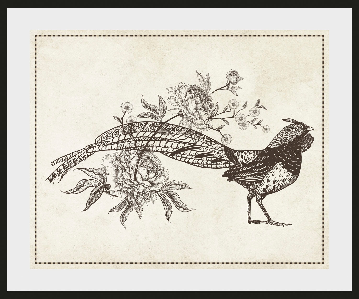 queence Bild »Nathi« Kunst | Vogelbilder | Vögel | historische Ereignisse 1 Stk. tlg. HD Premium Poster-Druck inkl. Holzrahmen