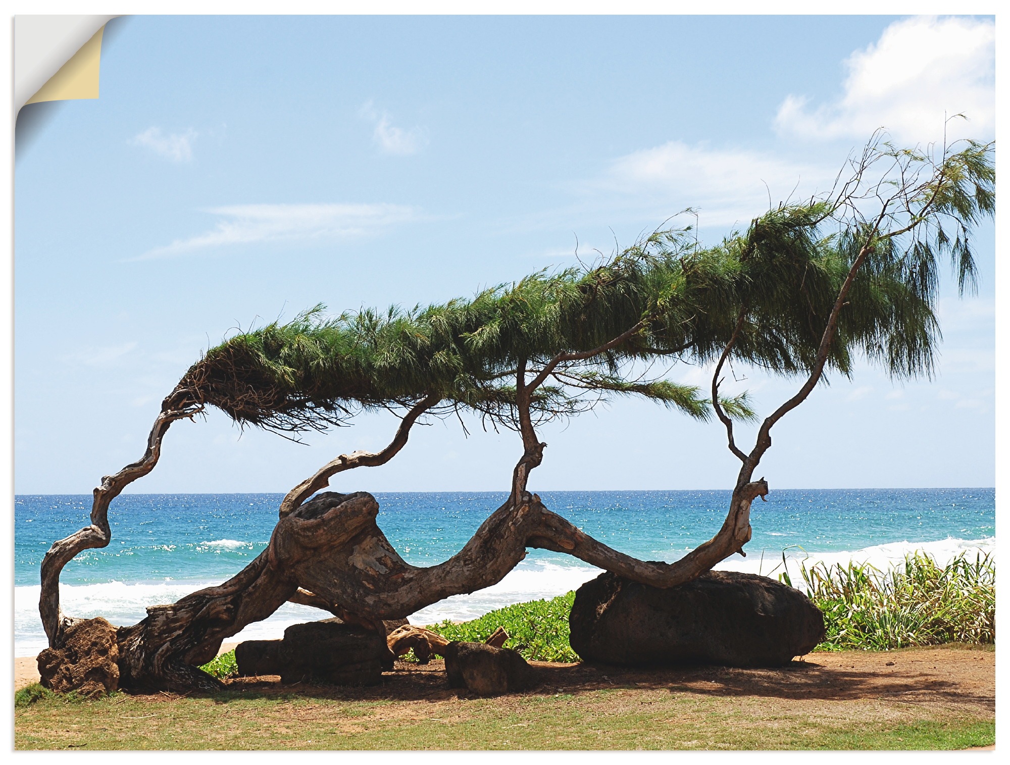 Artland Wandbild »Landschaft, Hawaii«, Strand, (1 St.), als Alubild, Leinwandbild, Wandaufkleber oder Poster in versch. Größen