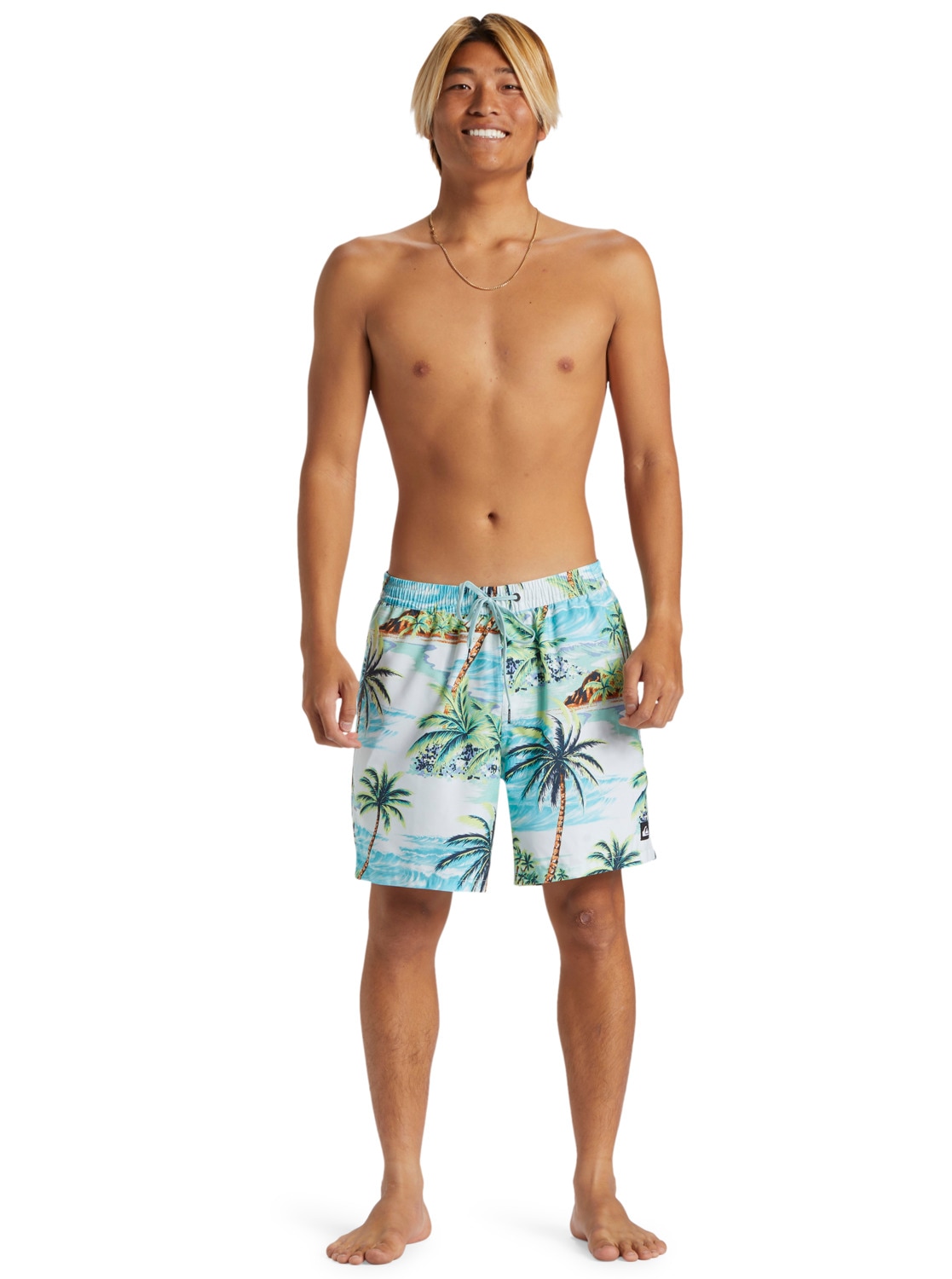 Quiksilver Boardshorts »Everyday Mix 17"«