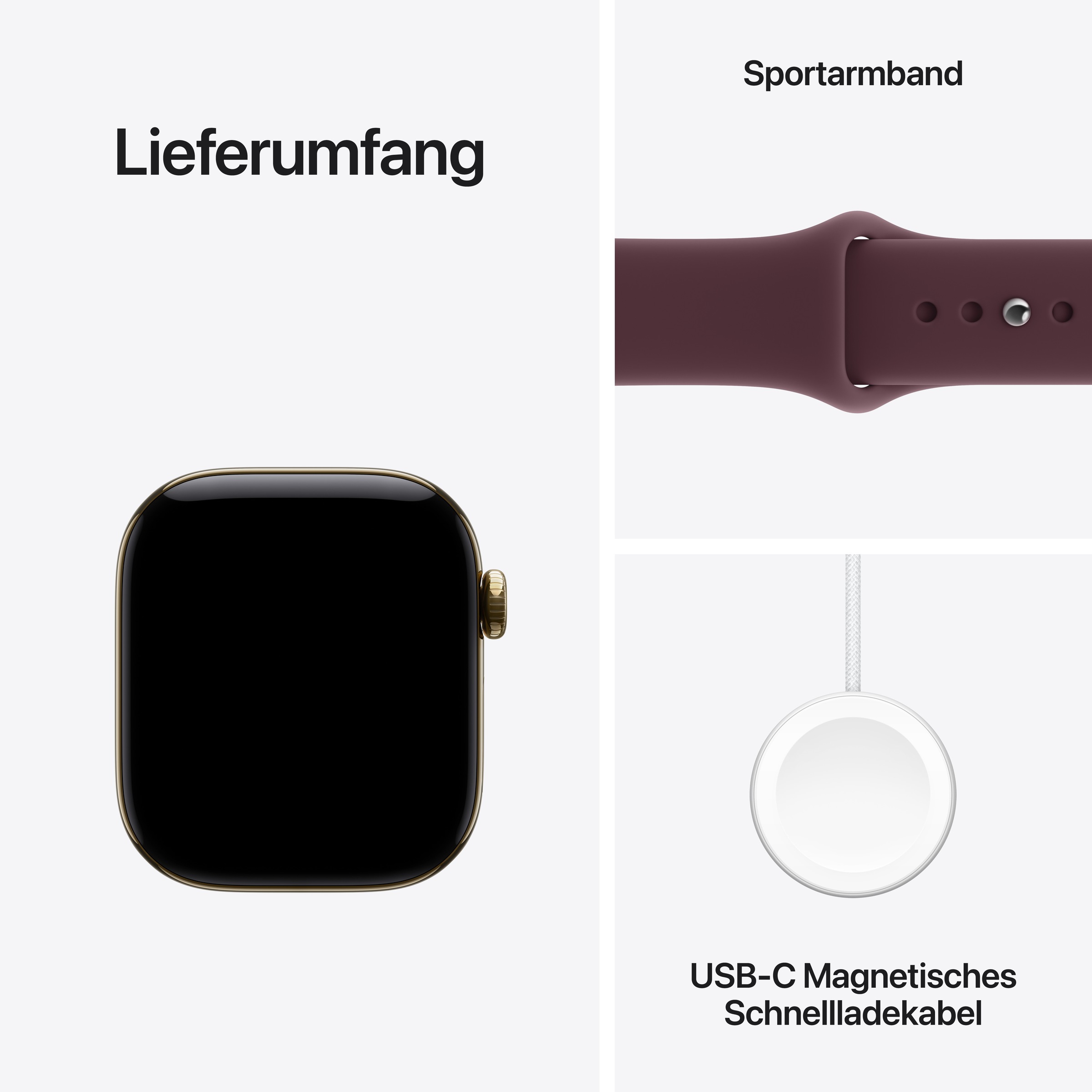 Apple Smartwatch »Watch Series 12  Titanium GPS + Cellular«(42/ 1,65 ″) Watch OS