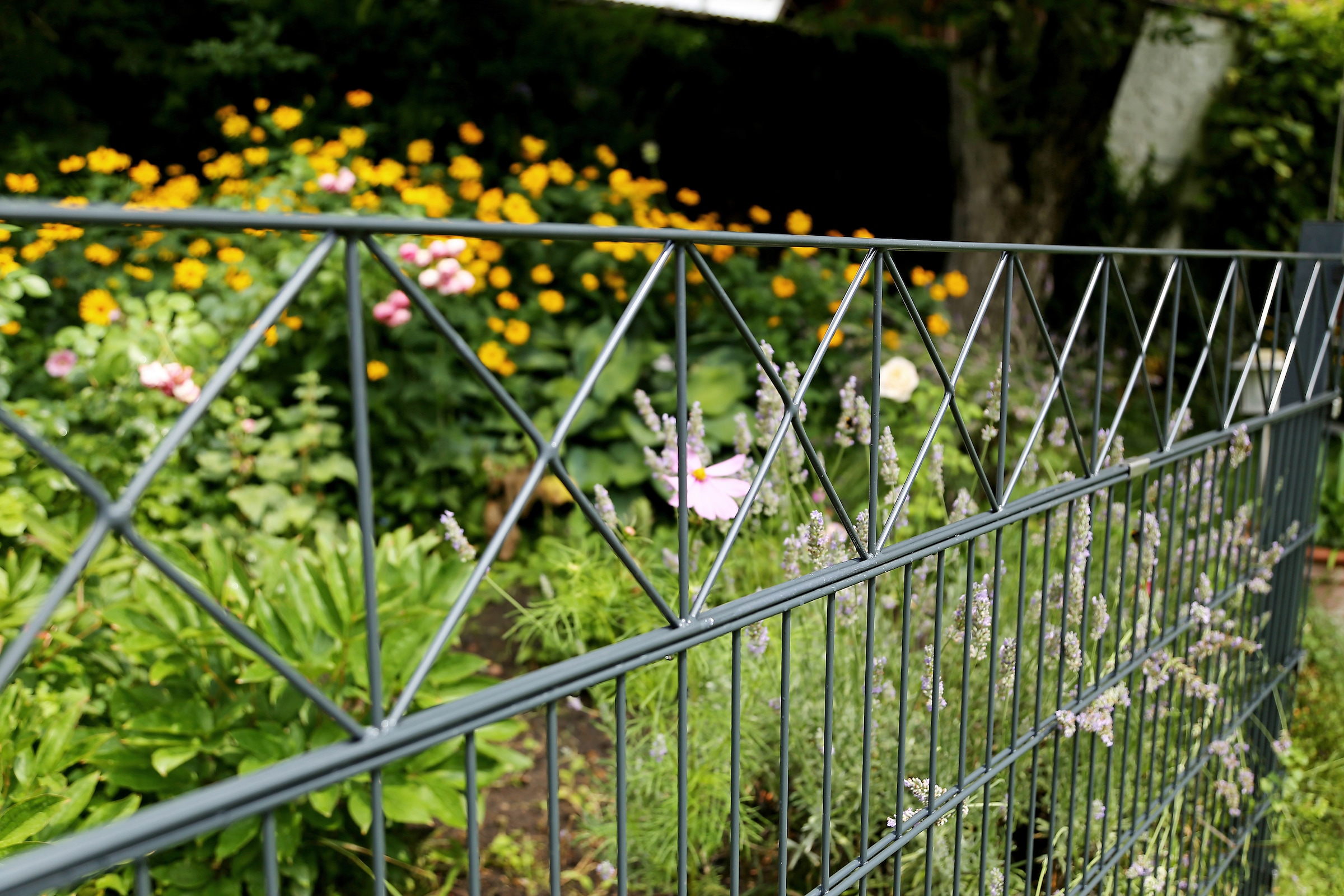 Alberts Doppelstabmattenzaun »Nexus« anthrazit, Höhe: 100-160cm, Gesamtlänge: 10-20m, zum Einbetonieren