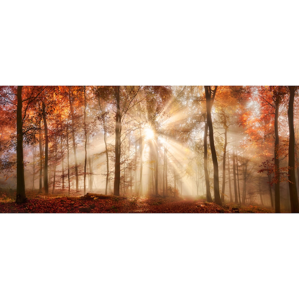 Bönninghoff Leinwandbild »Herbst«, Wald, (1 St.)