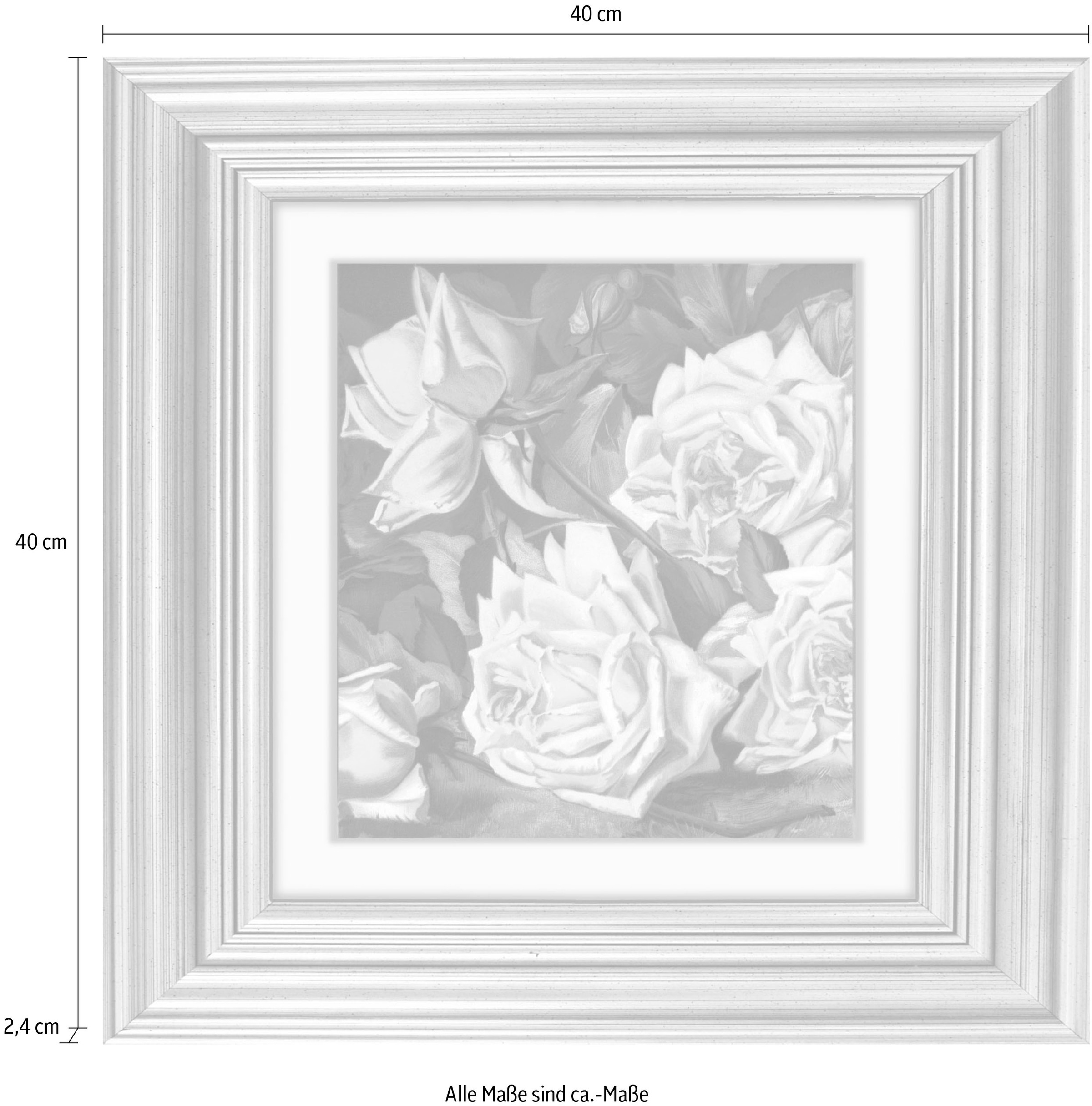 queence Acrylglasbild »Blumen« Blumen | Blumenbilder | Gemälde | Kunst | Pflanzen | Pflanzenbilder Fine Art-Print in Galeriequalität