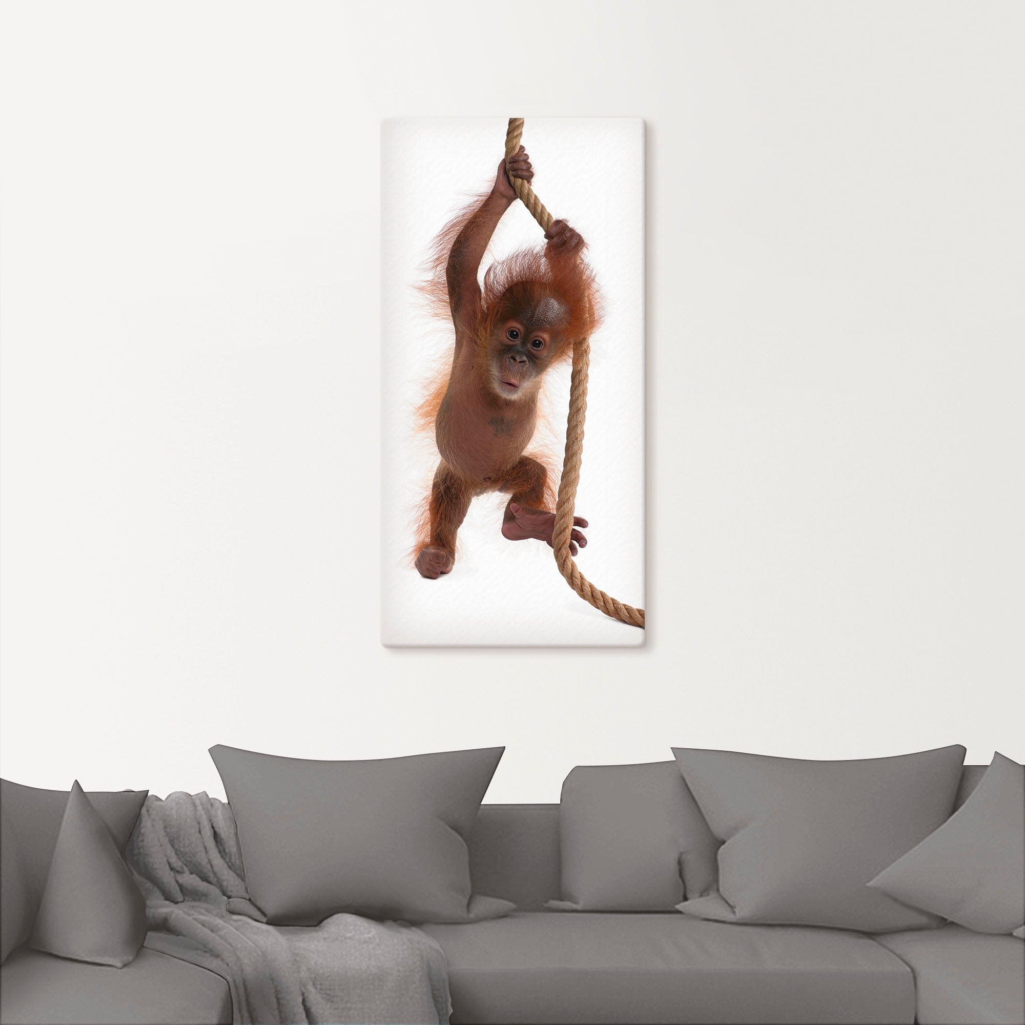 Artland Wandbild »Baby Orang Utan hängt am Seil I«, Wildtiere, (1 St.), als Alubild, Leinwandbild, Wandaufkleber oder Poster in versch. Größen
