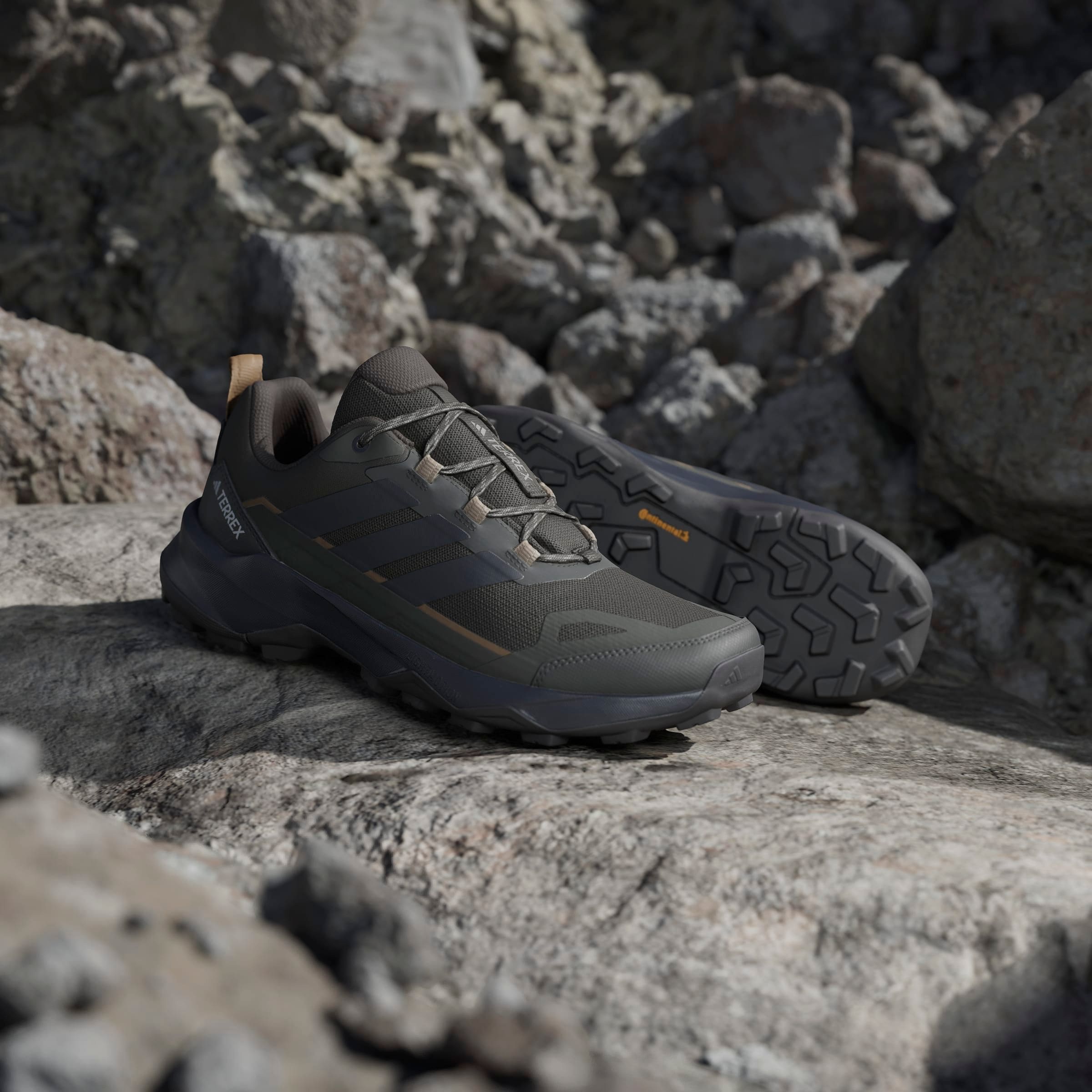 adidas TERREX Wanderschuh »TERREX SKYCHASER AX5 E«