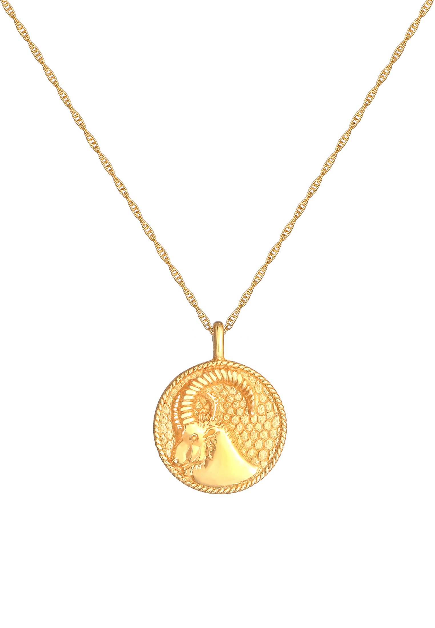 Elli Kette mit Anhänger »Halskette Sternzeichen Steinbock Astro Münze 925 Silber«
