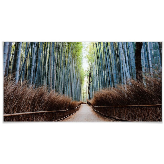 Wall-Art Poster »Bambushöhle Japan«, Höhlen, (1 St.), Poster, Wandbild,  Bild, Wandposter bestellen im OTTO Online Shop