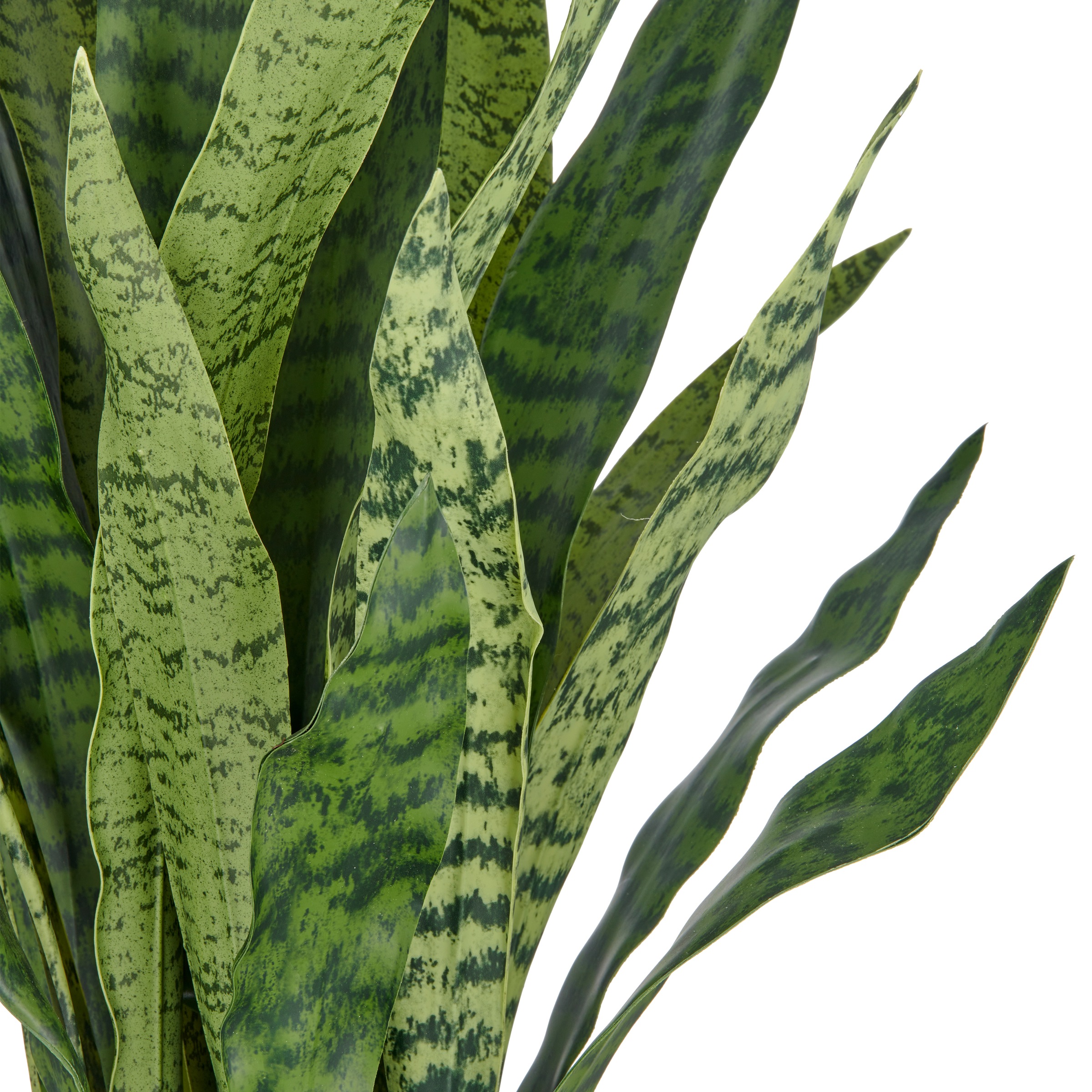 Creativ green Kunstpflanze »Sansevieria zeylanica« im eleganten Topf