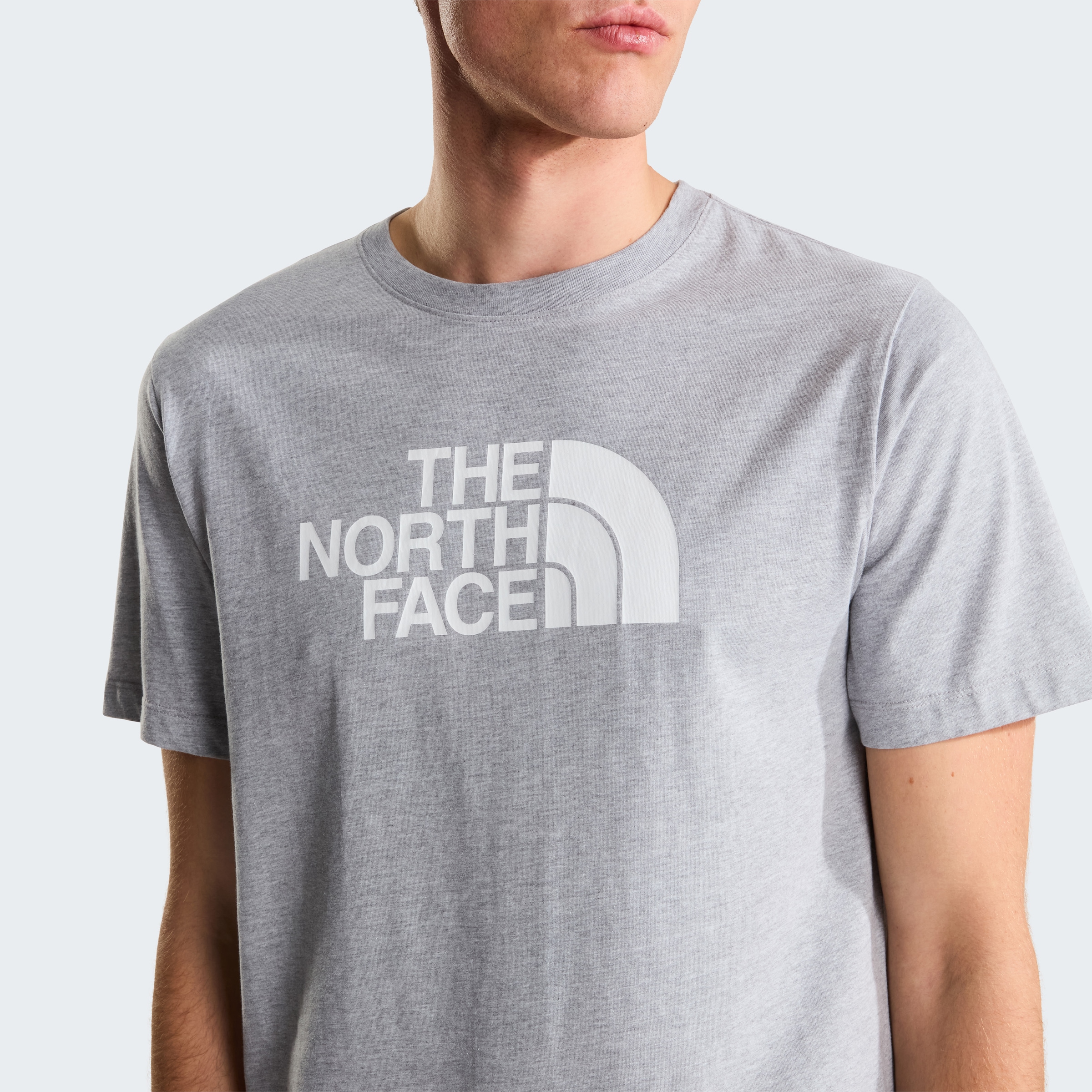 The North Face T-Shirt »M EVOLUTION HALF DOME REGULAR SHORT SLEEVE TEE« sportliche Passform, kurze Ärmel, für Sportmode und Outdoormode