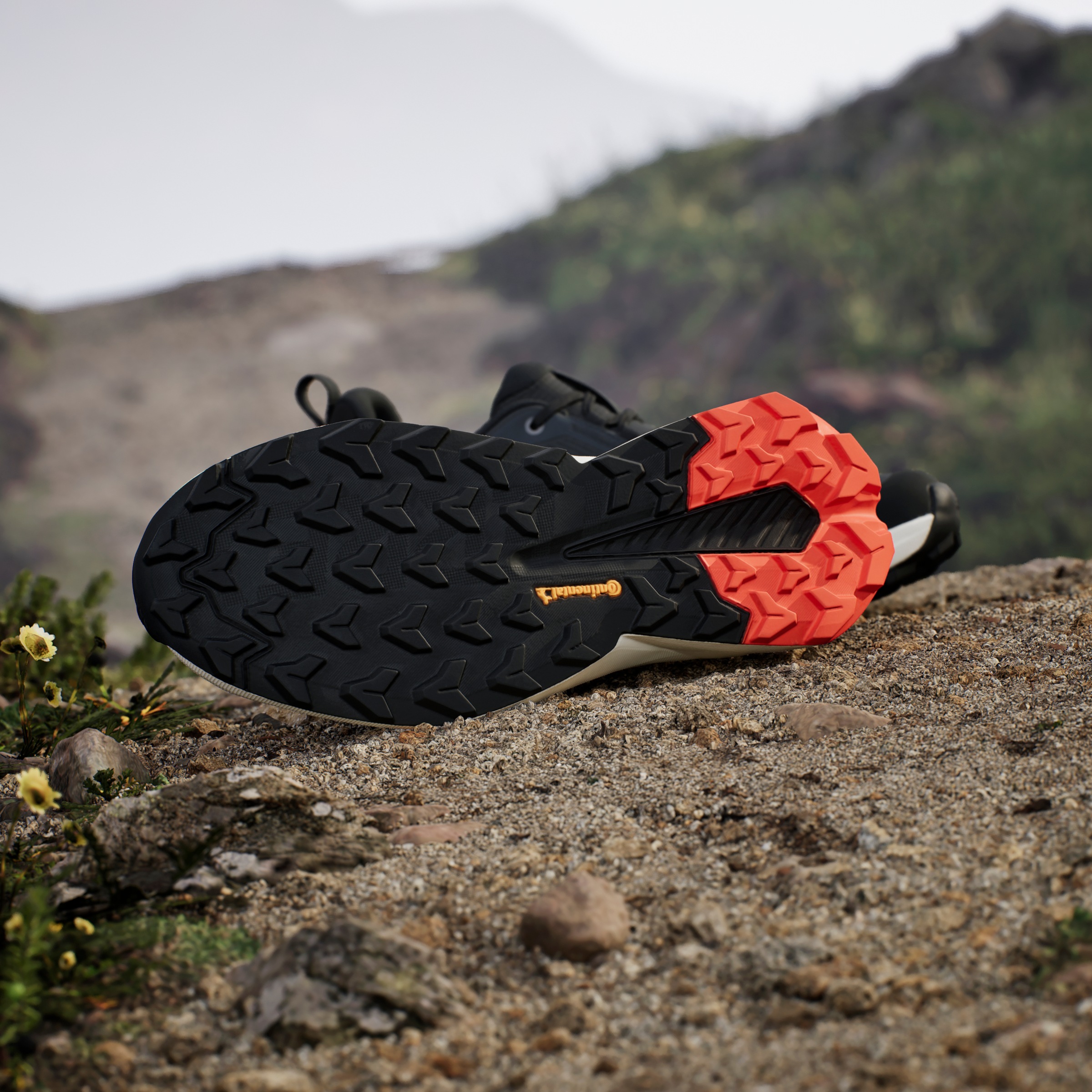 adidas TERREX Wanderschuh »TERREX TRAILMAKER 2 GORE-TEX«
