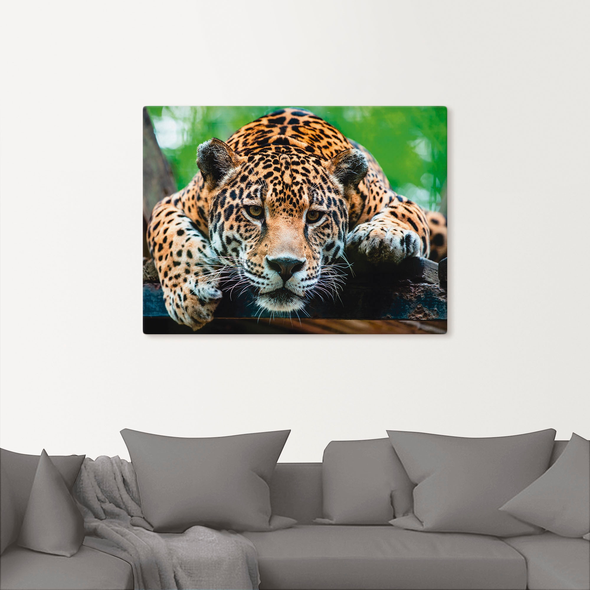 Artland Wandbild »Südamerikanischer Jaguar«, Wildtiere, (1 St.), als Alubild, Outdoorbild, Leinwandbild, Poster, Wandaufkleber