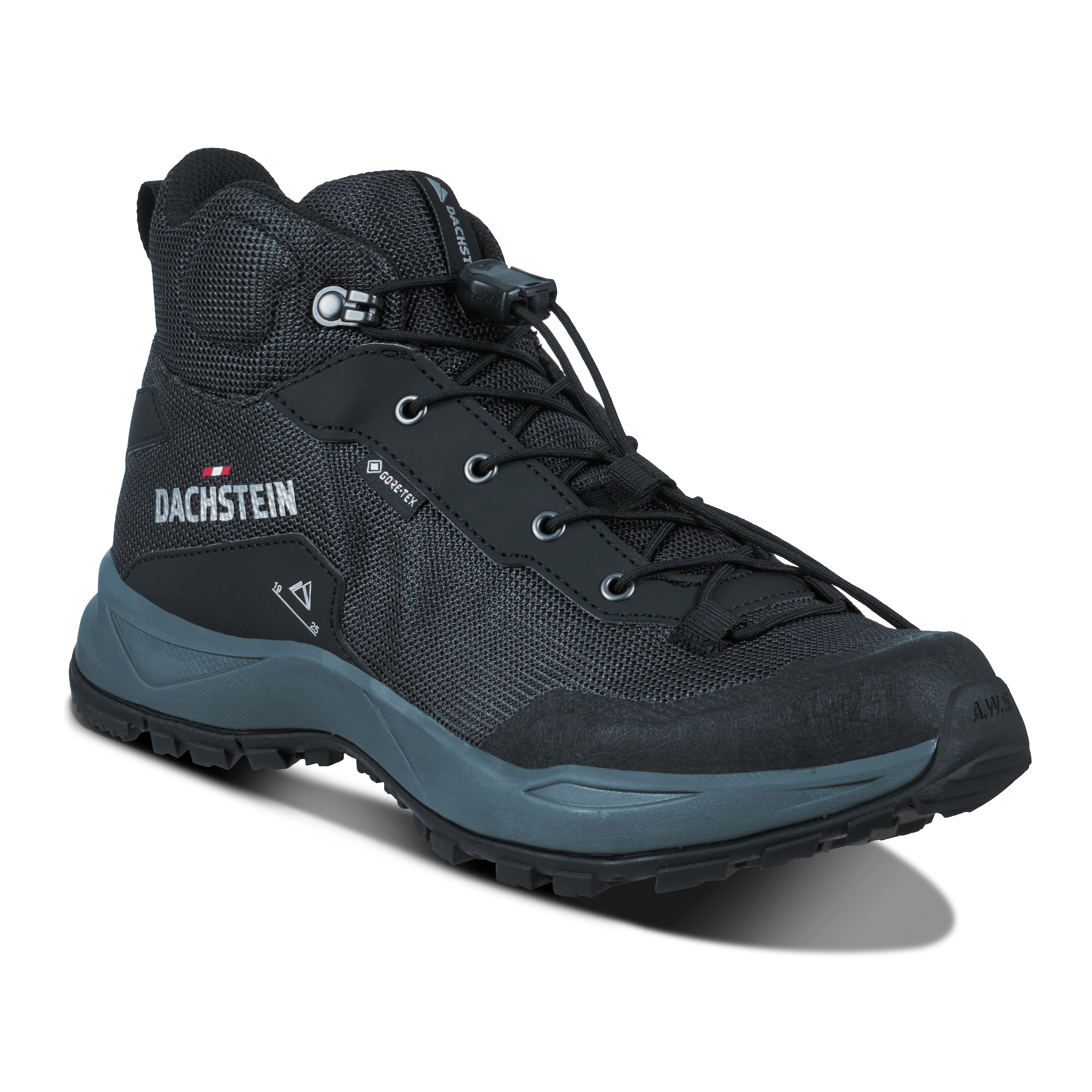 Dachstein Wanderschuh »DELTA ASCENT MC GORE-TEX W«, wasserdicht