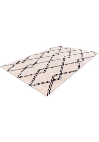 calo-deluxe Hochflor-Teppich »Elvar-1000«, rechteckig, 27 mm Höhe, besonders weich... kaufen