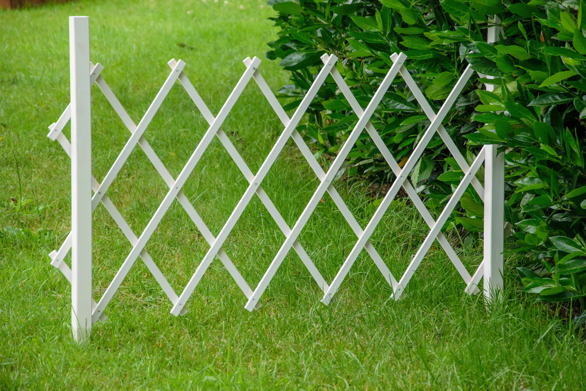 dobar Rankgitter »Gr. S«, faltbar, BxTxH: 110x28x80 cm