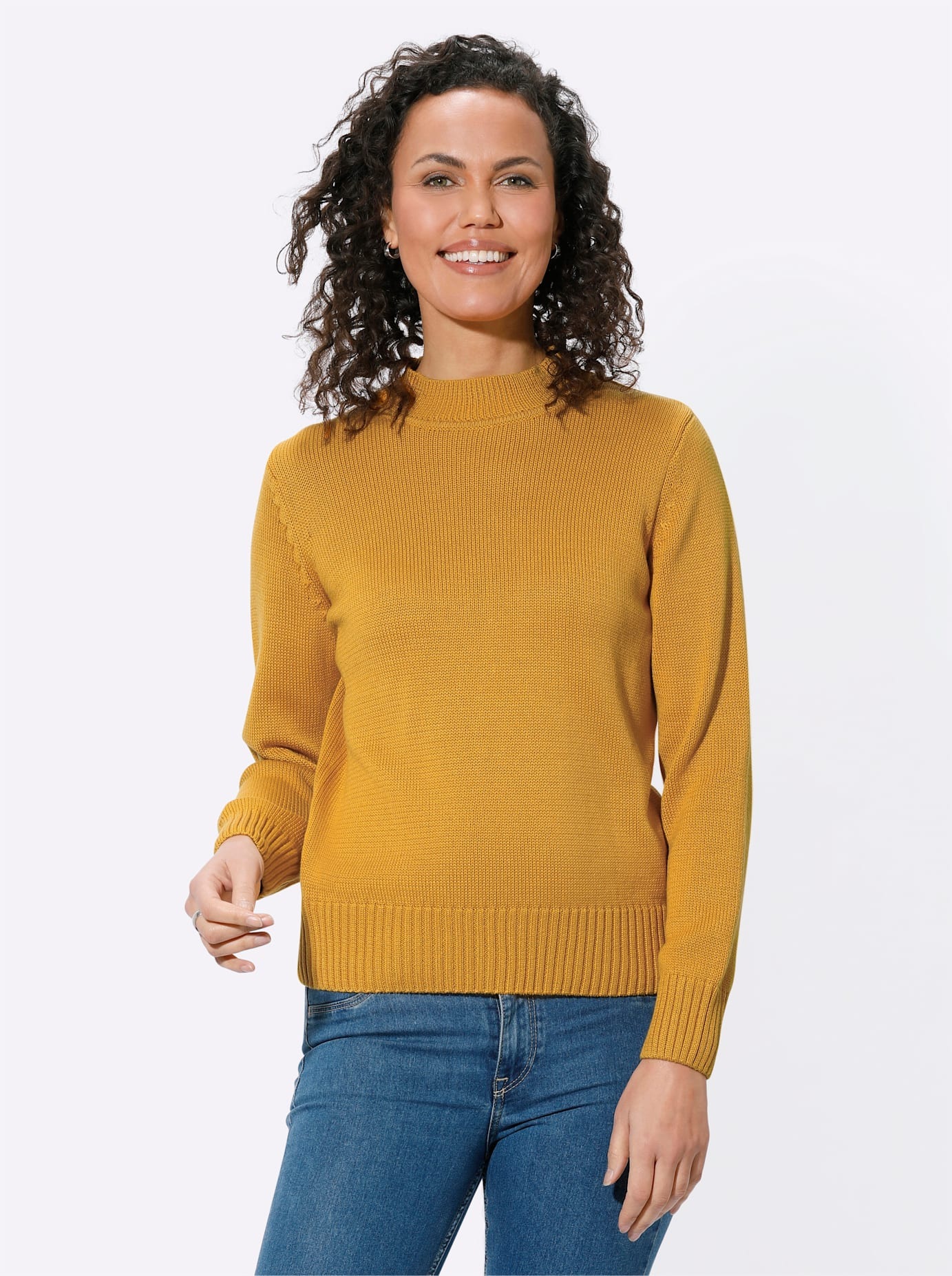 Casual Looks Stehkragenpullover »Pullover«