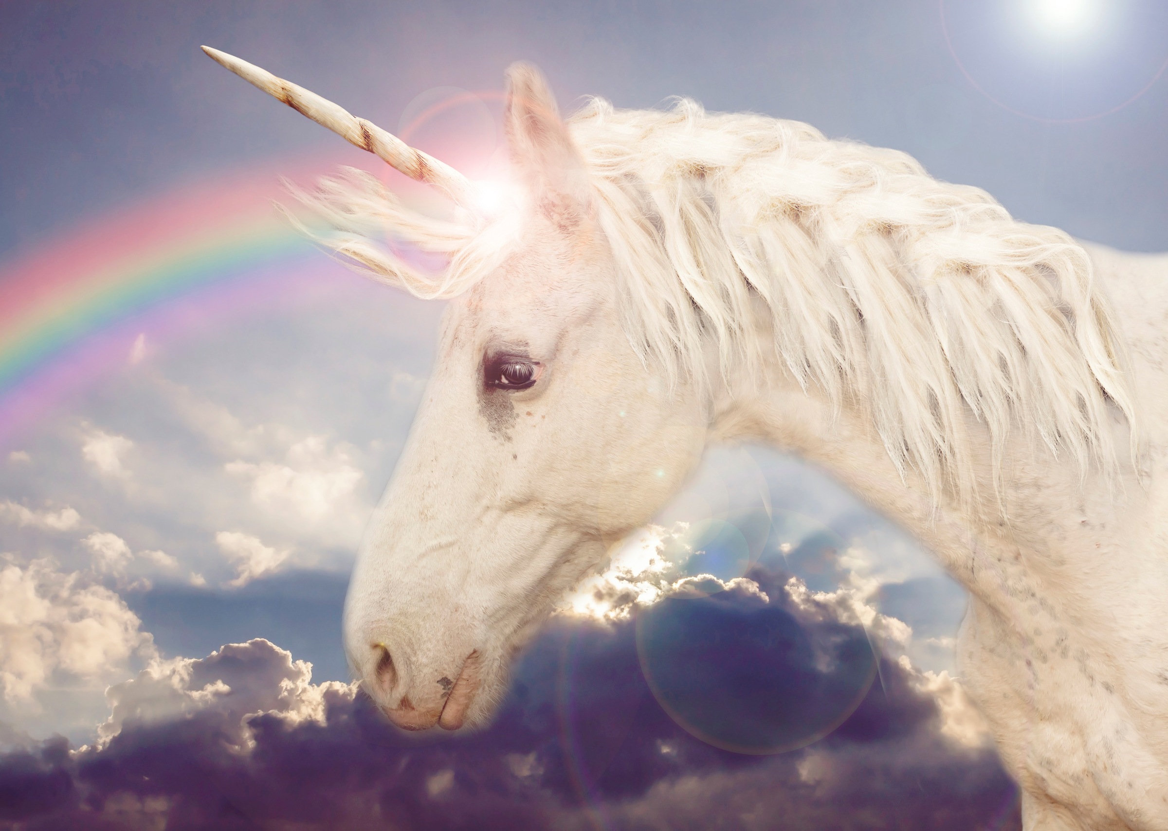 Papermoon Fototapete »Unicorn Rainbow«