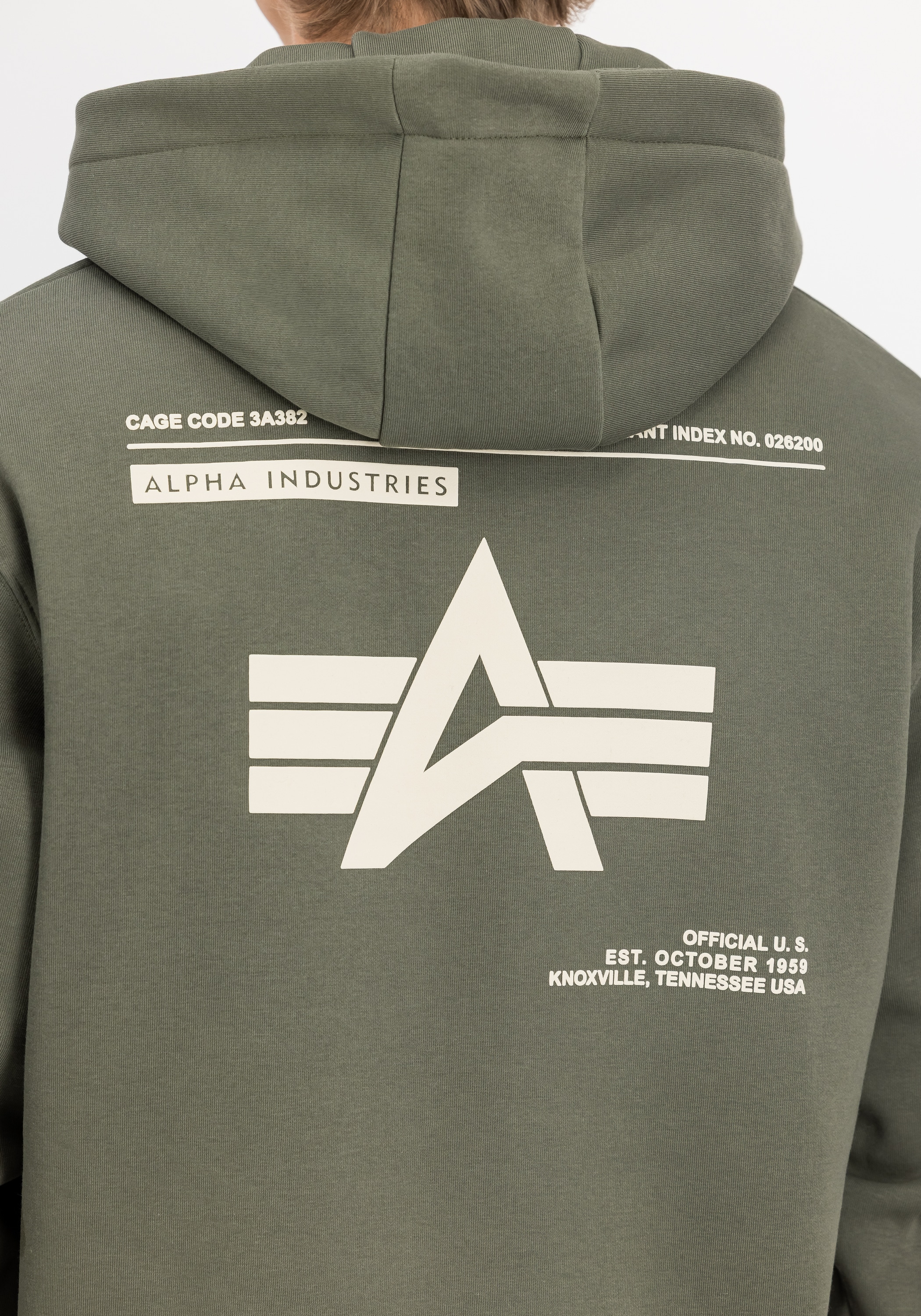 Alpha Industries Hoodie »Label Hoodie Backprint«
