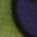 bunt