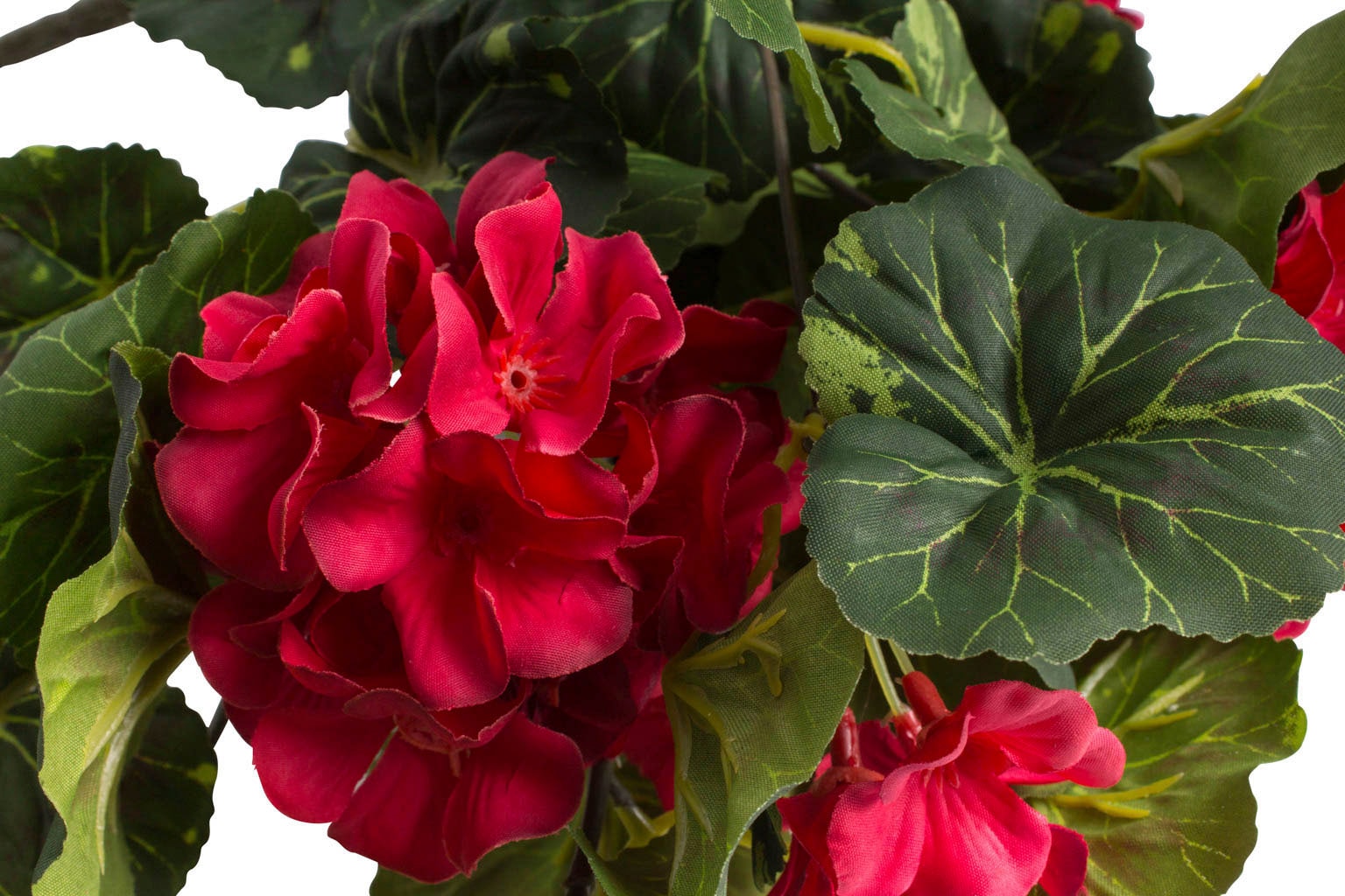 Botanic-Haus Kunstblume »Geranienhängebusch mit 11 Stielen« bei kaufen OTTO