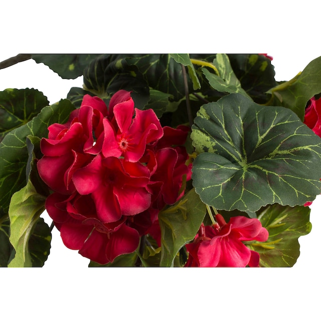 Botanic-Haus Kunstblume »Geranienhängebusch mit 11 Stielen« kaufen bei OTTO