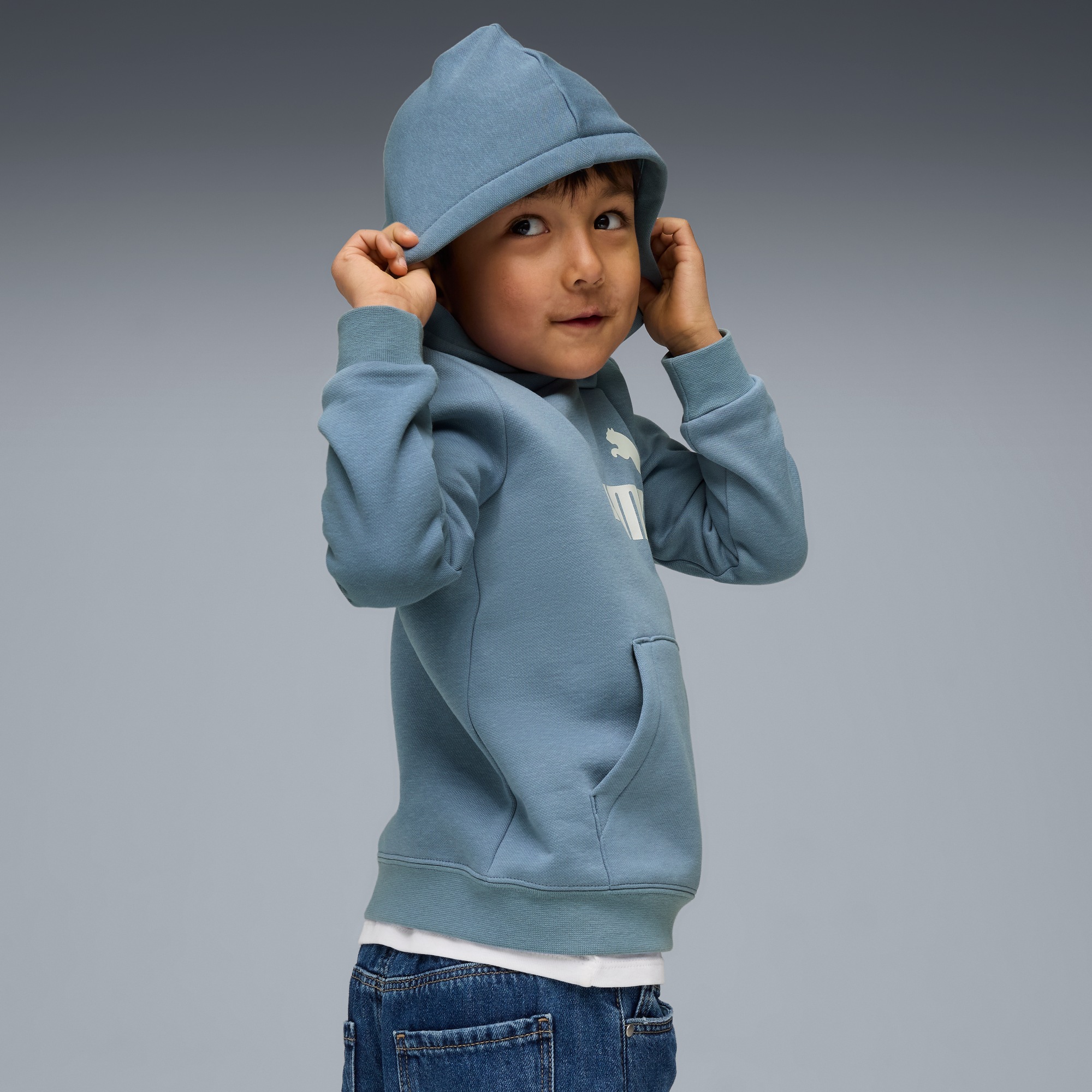 PUMA Kapuzensweatshirt »ESS NO. 1 LOGO HOODIE FL PS«