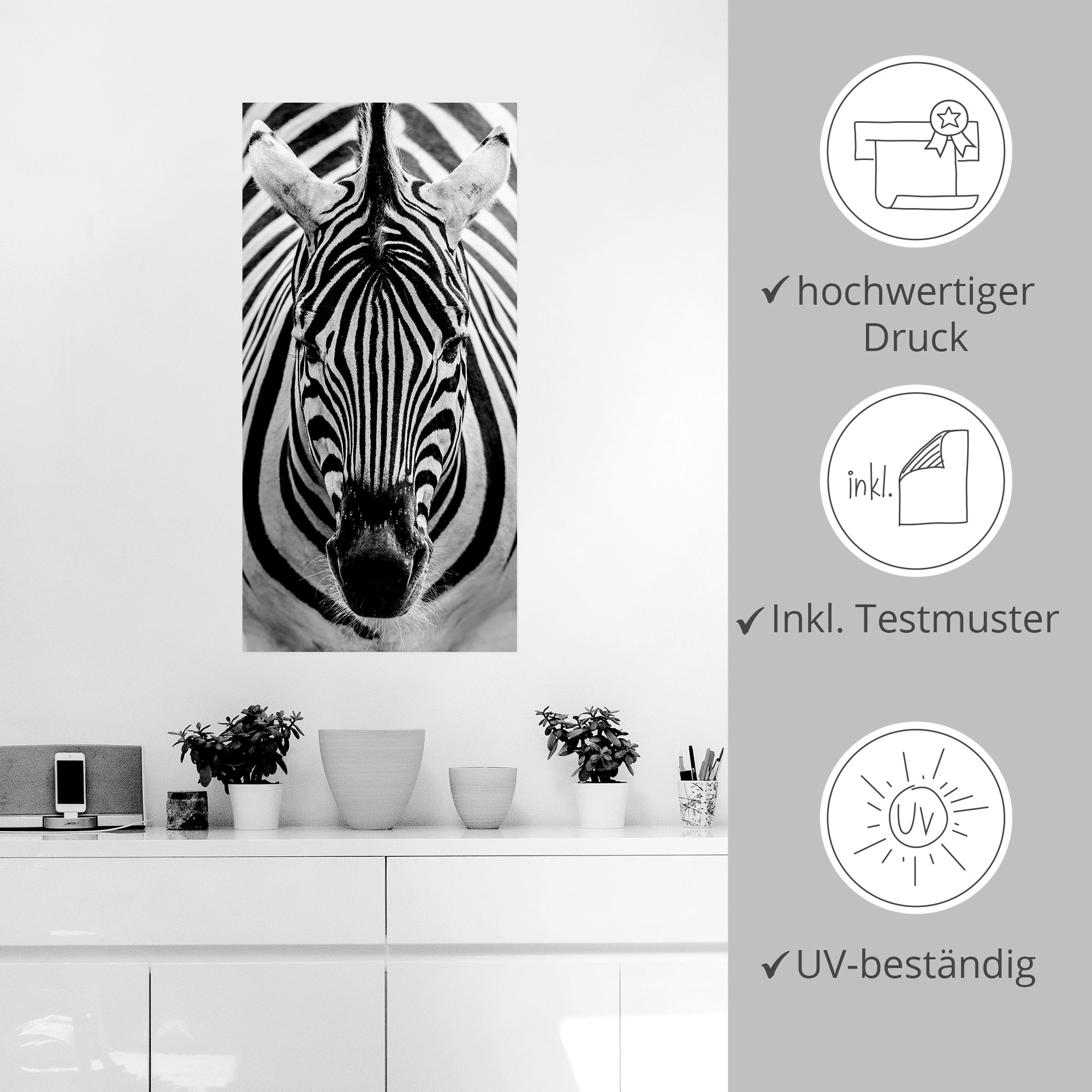 Artland Wandbild »Zebra«, Wildtiere, (1 St.), als Leinwandbild, Poster, Wandaufkleber in verschied. Größen