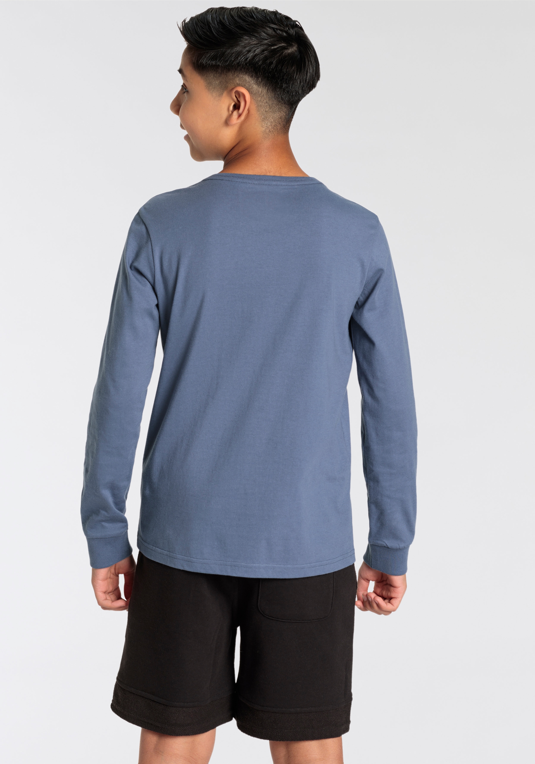 Quiksilver Langarmshirt »MTWAVE DUNESCAPE LS PACK YOUTH«