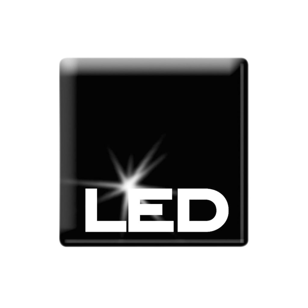 Schneider LED-Lichterkette »Beere, Weihnachtsdeko rot«