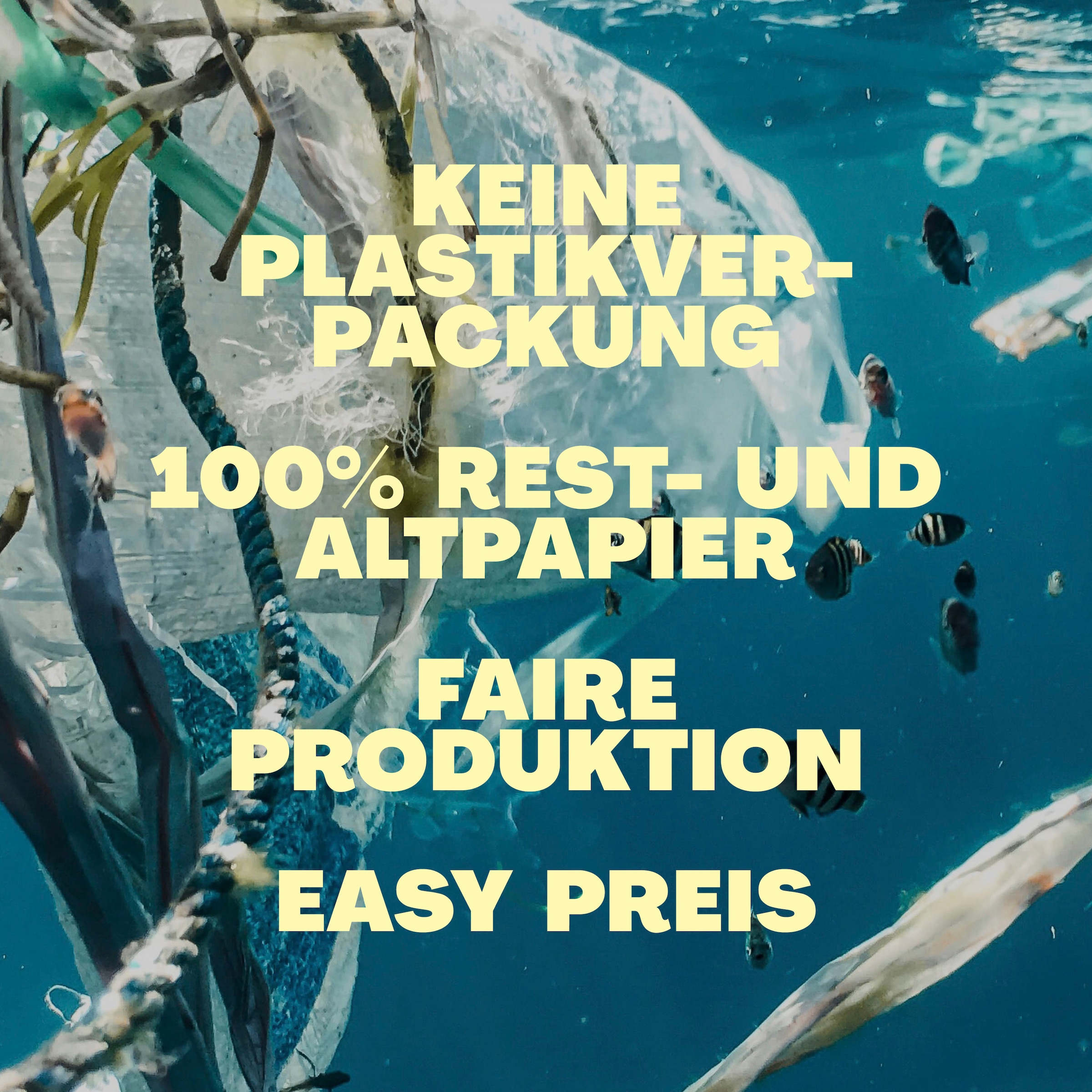Schlafgut Spannbettlaken »EASY Jersey Elasthan Topper«, MADE IN GREEN by OEKO-TEX®
