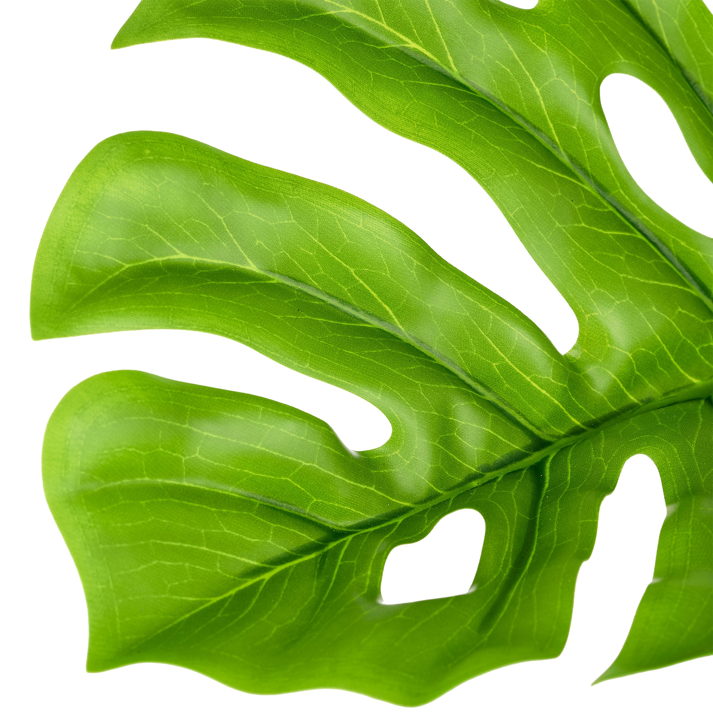 Creativ green »Splitphilodendron« mit naturgetreuem Blattwerk